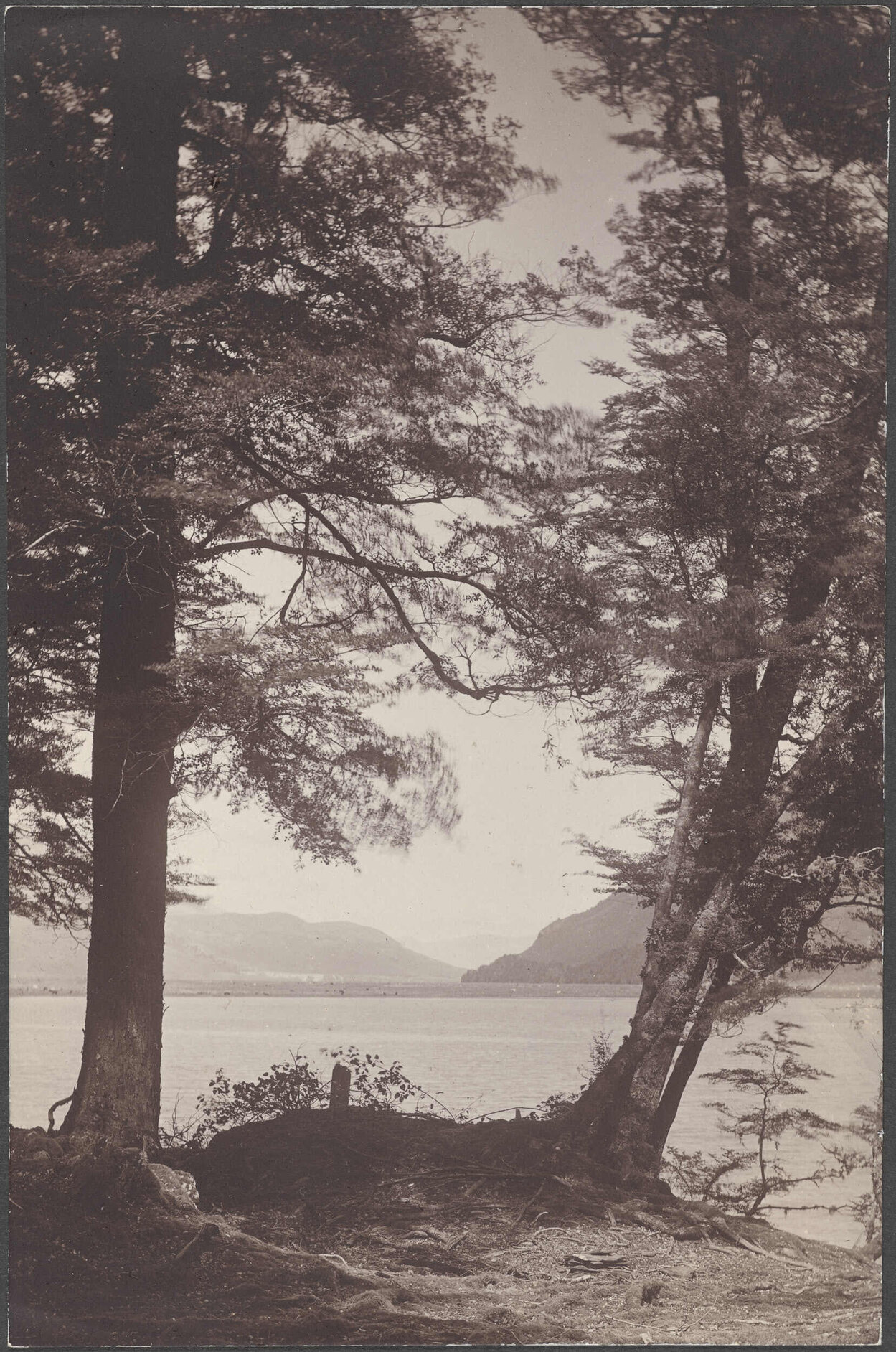 'Diamond Lake from Paradise, Reynold's Photo'
