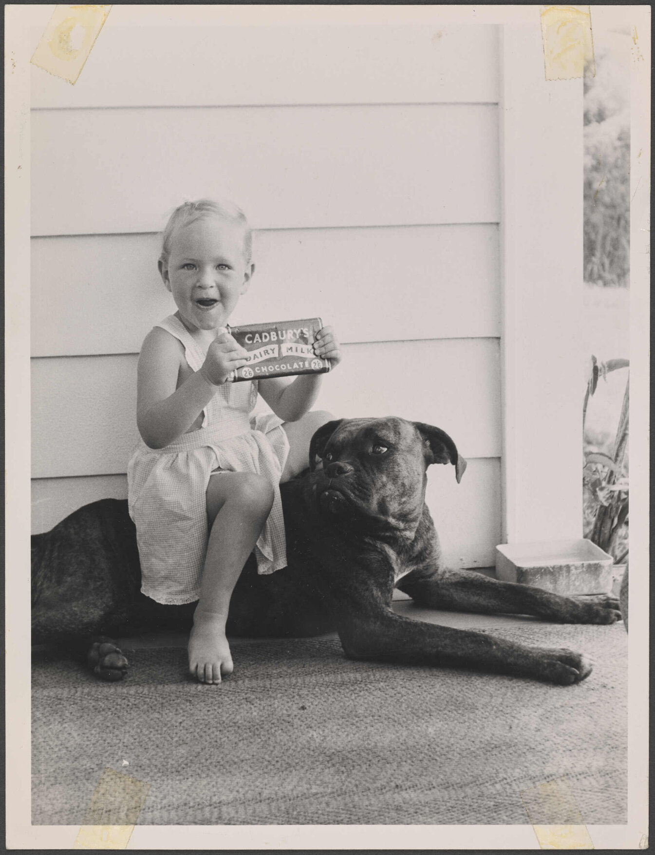Barbara Williams and dog Koffee with Cadbury Dairy Milk chocolate