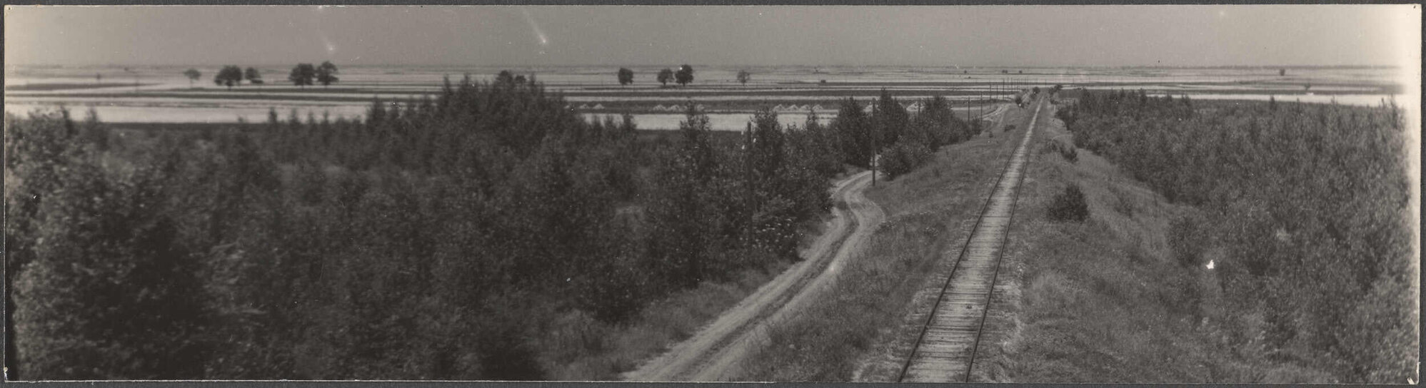 Sava Plain, near Belgrade