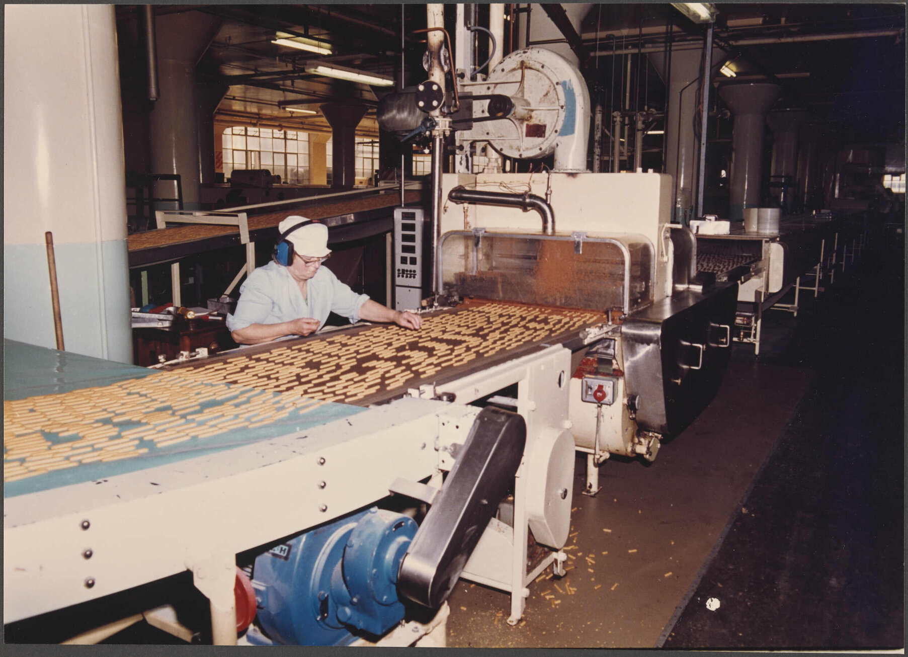 Finger Biscuits. Enrober feed.