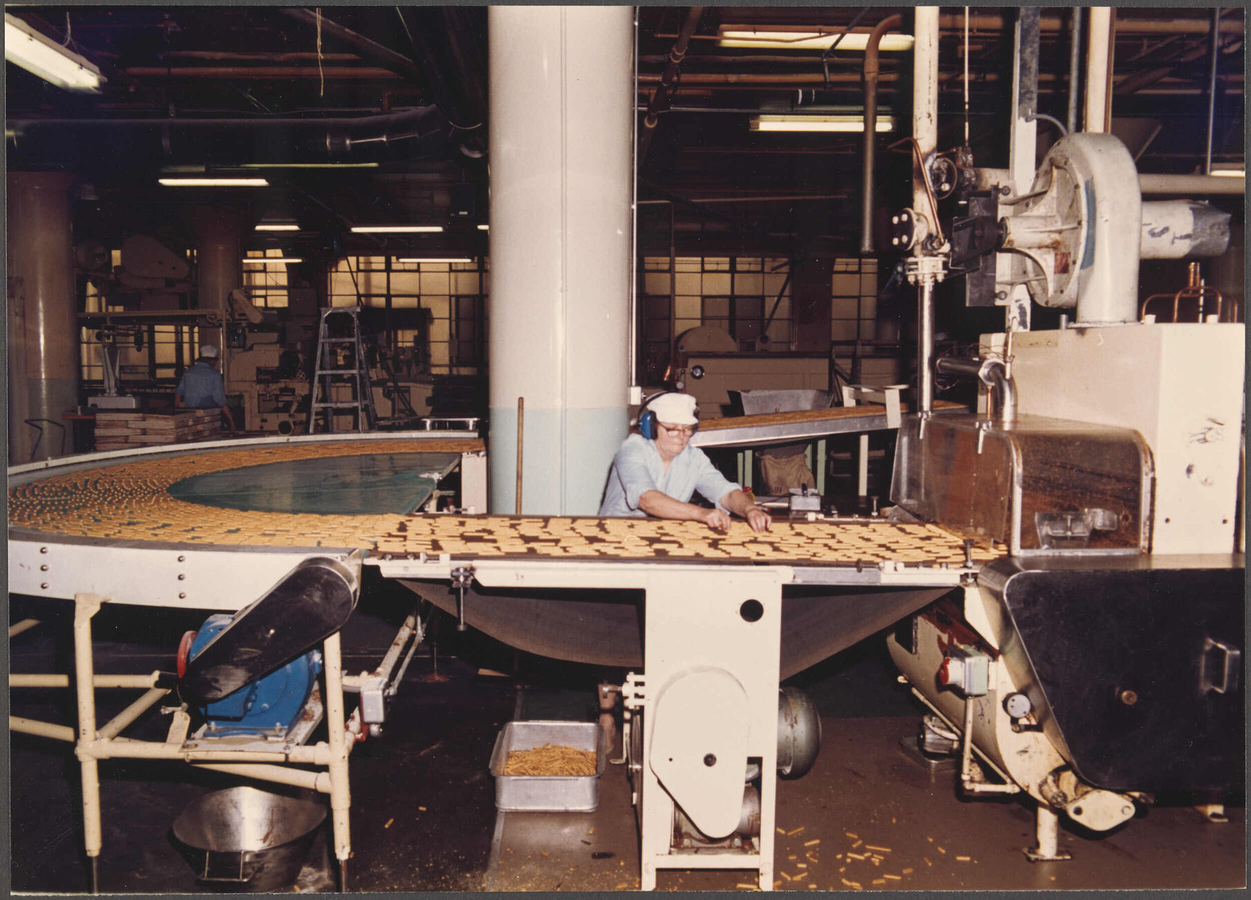 Finger Biscuits. Enrober feed.