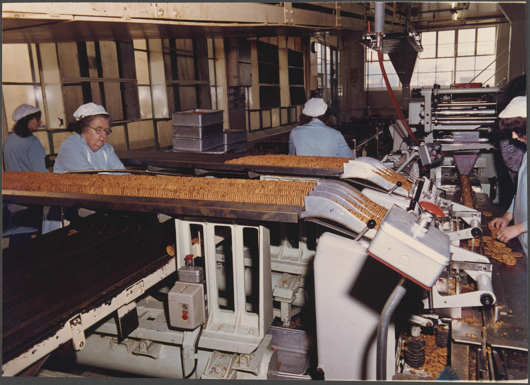 Feeder for Chippie biscuit wrapping