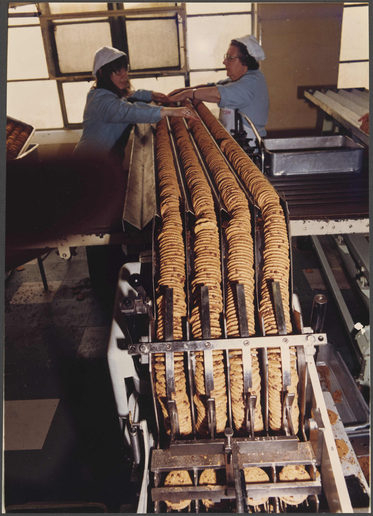 Feeder for Chippie biscuit wrapping