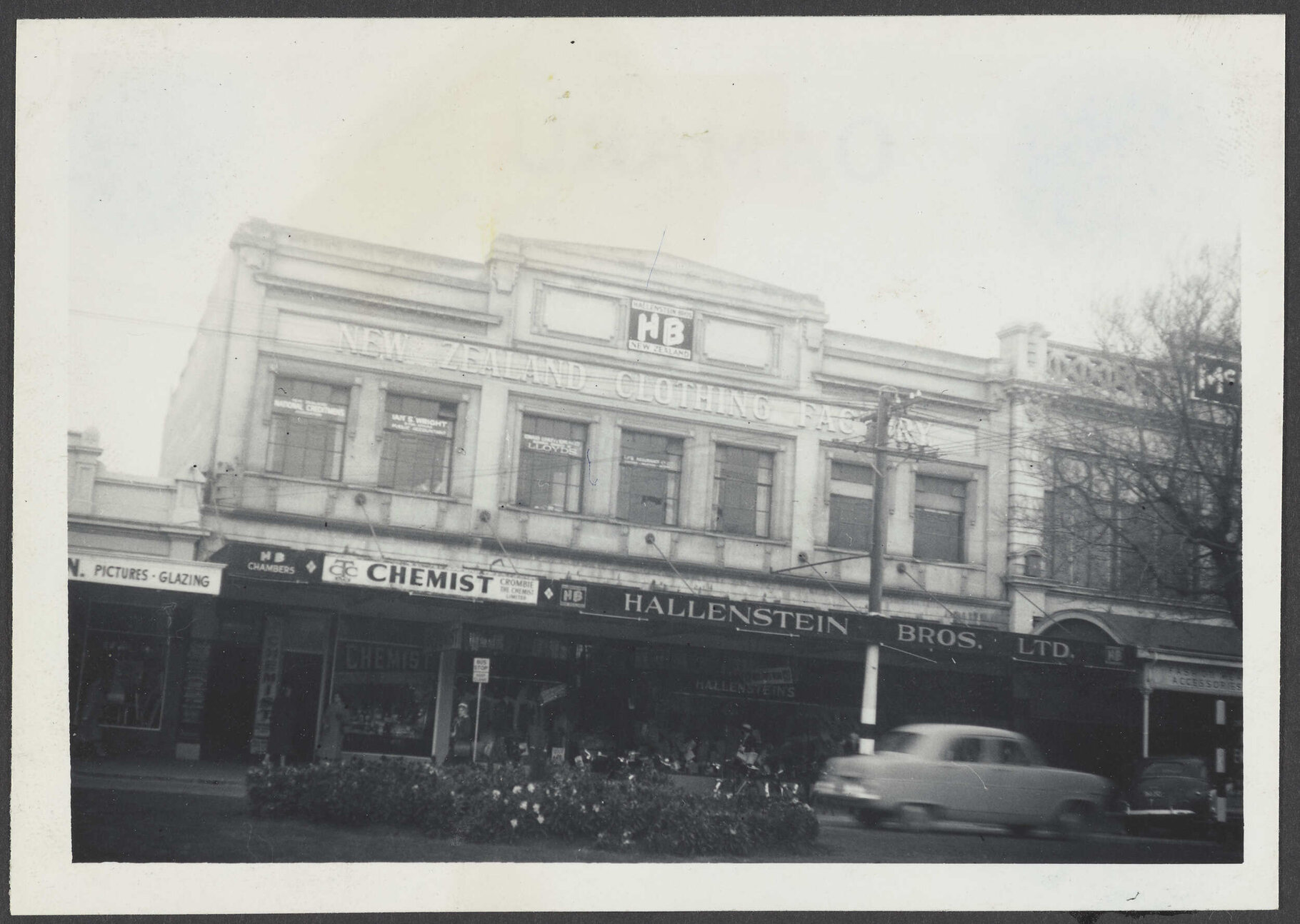Hallenstein Brothers branch premises, Oamaru
