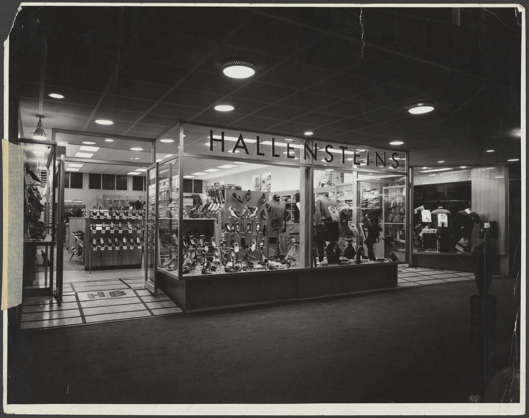 Hallensteins branch premises, Gisborne, at night