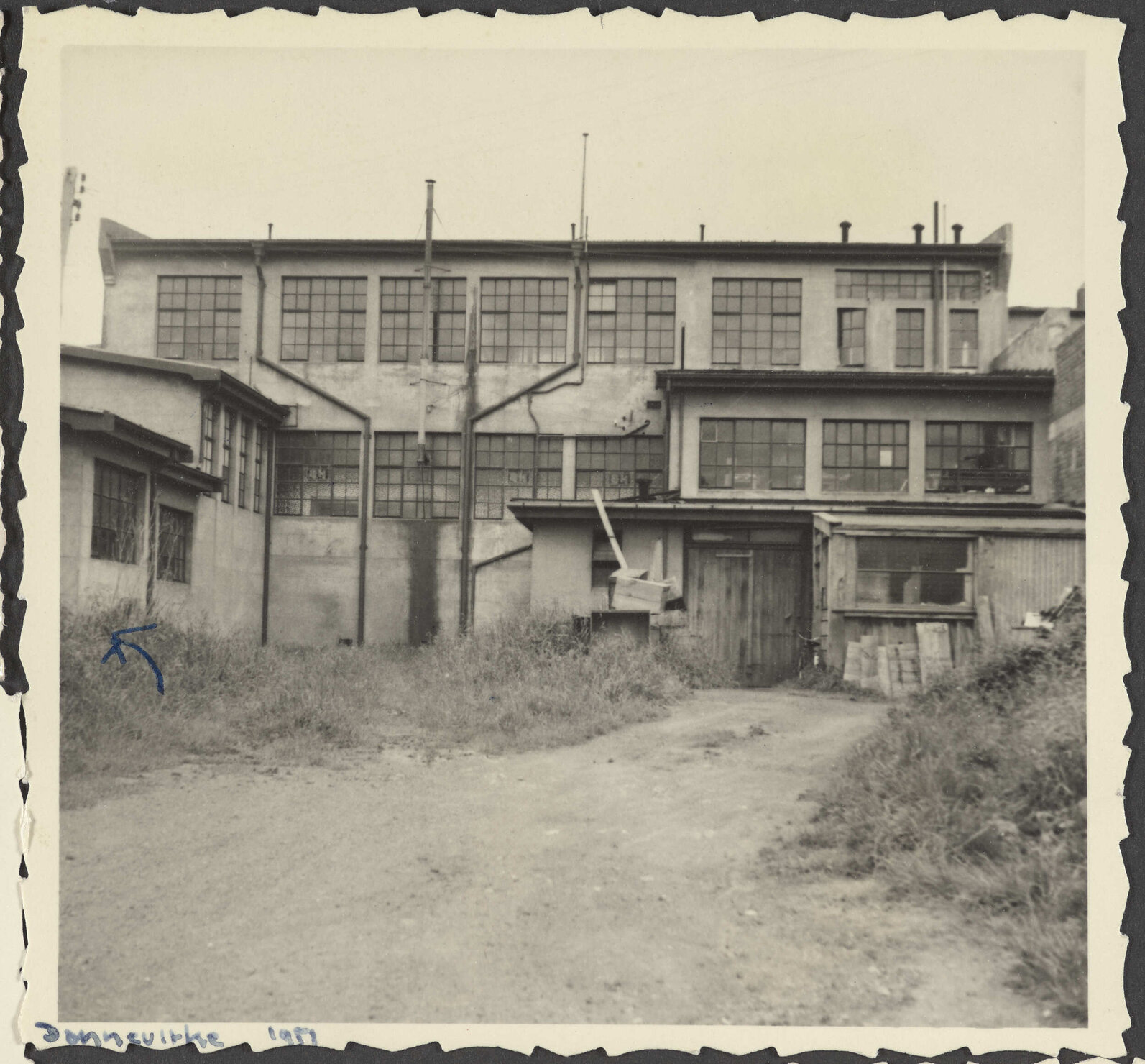 Rear of Hallensteins branch premises, Dannevirke
