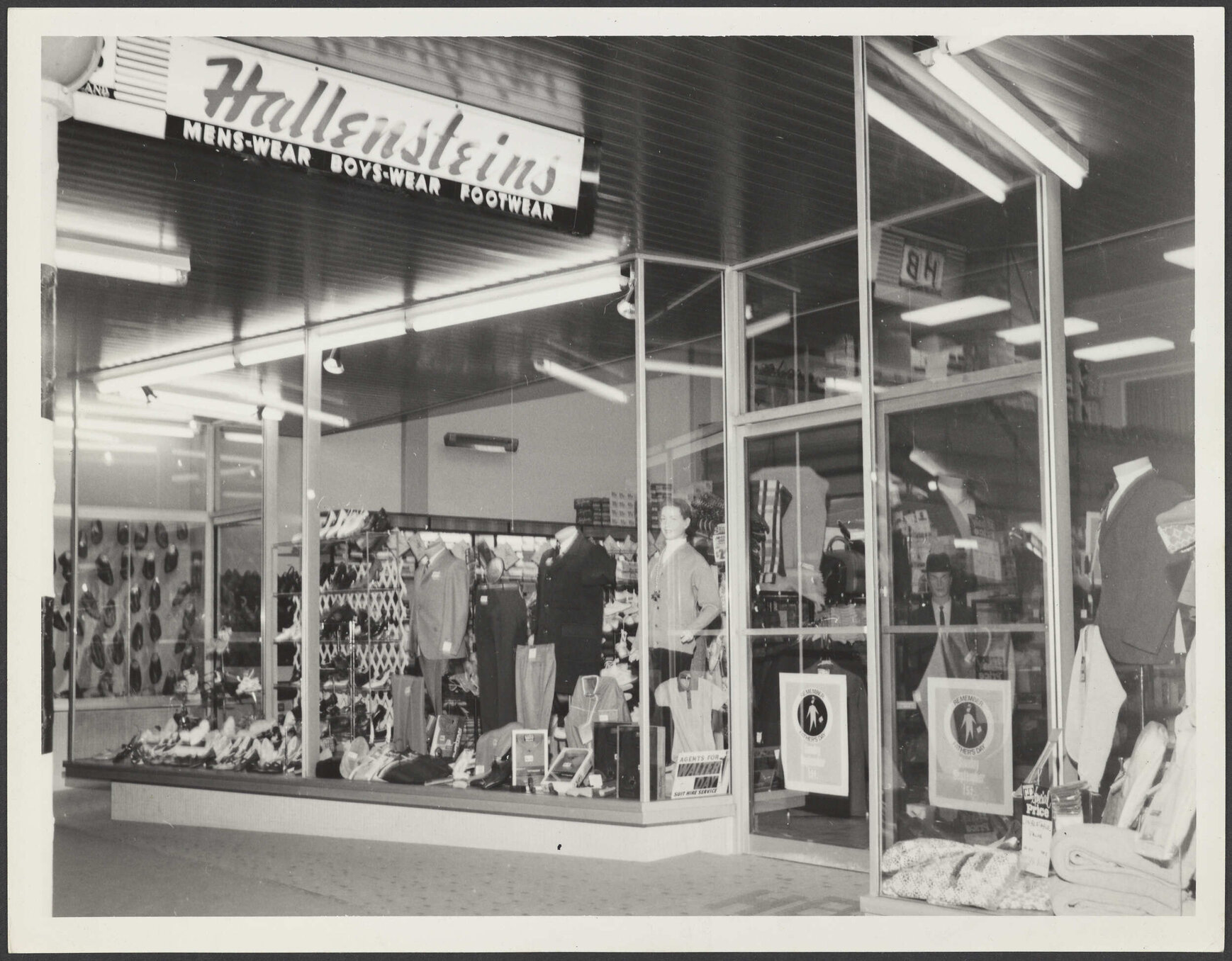 Hallensteins branch premises, Blenheim