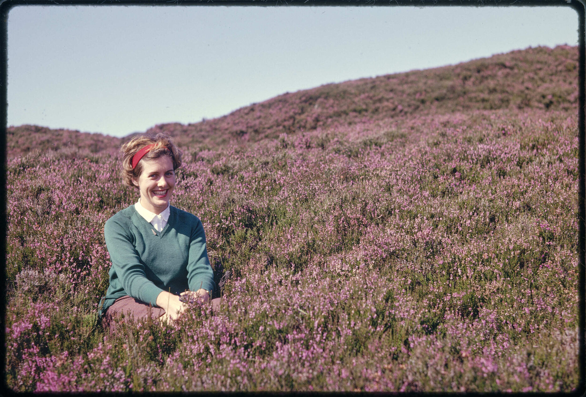 Elizabeth Walsh 'Amidst the heather', Trossachs