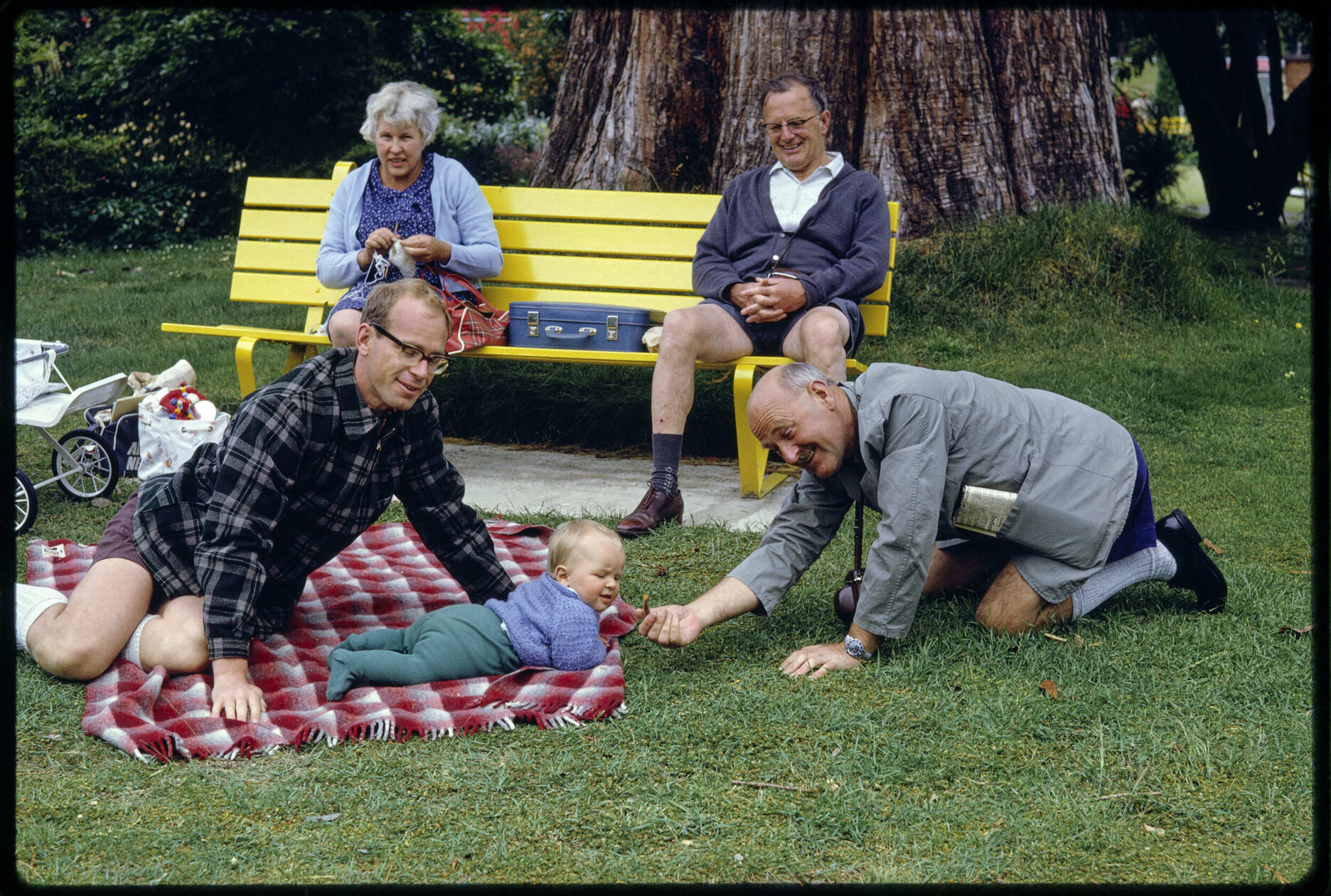 Hanan and Walsh family picnic at Queenstown Gardens