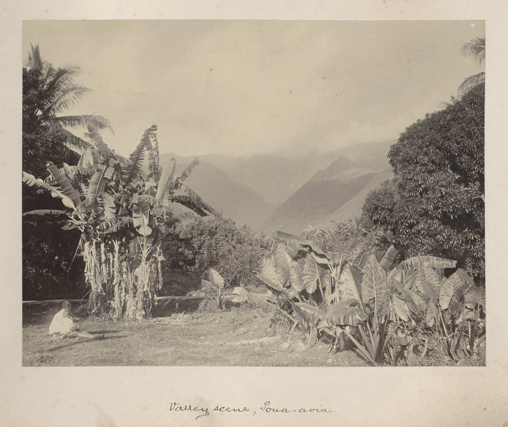 Valley scene, Poua-aria