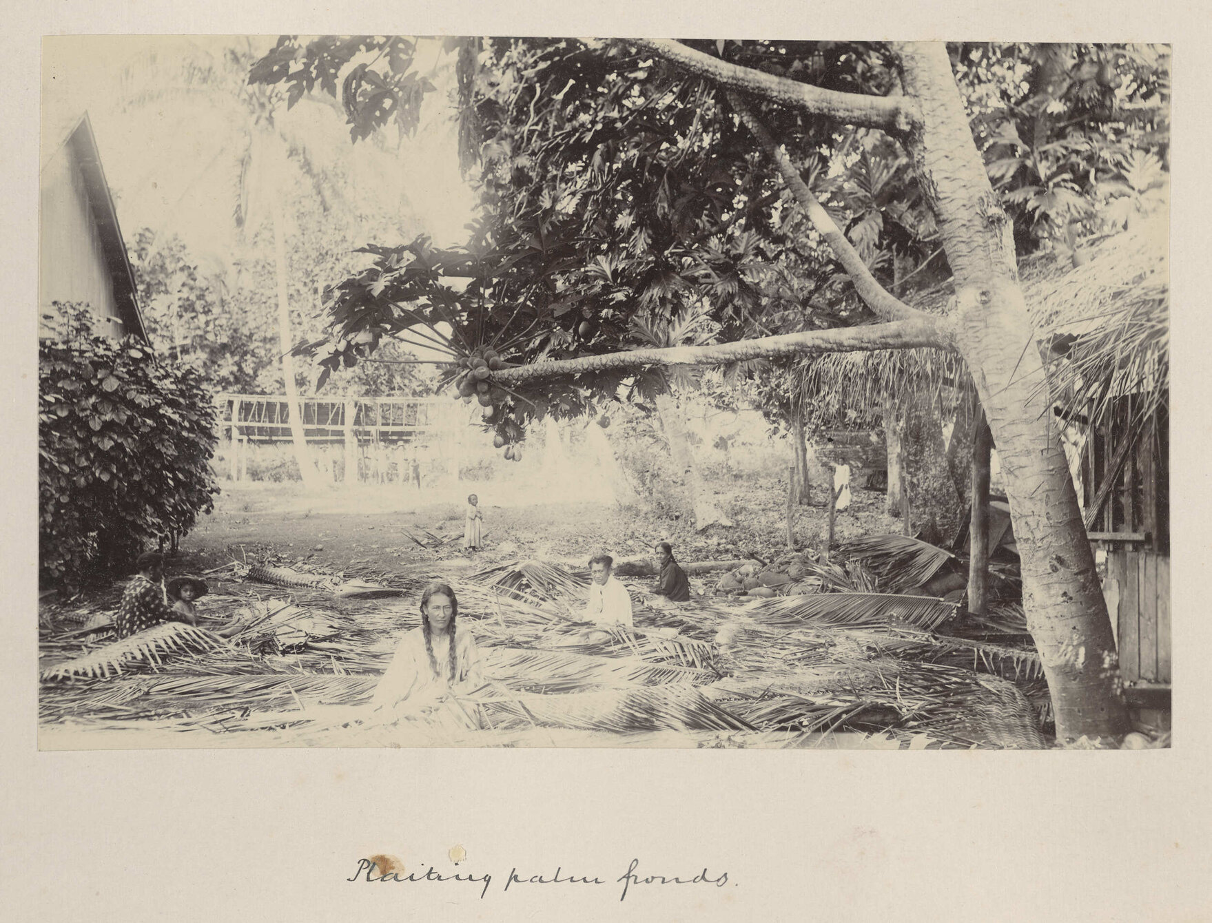 Plaiting palm fronds