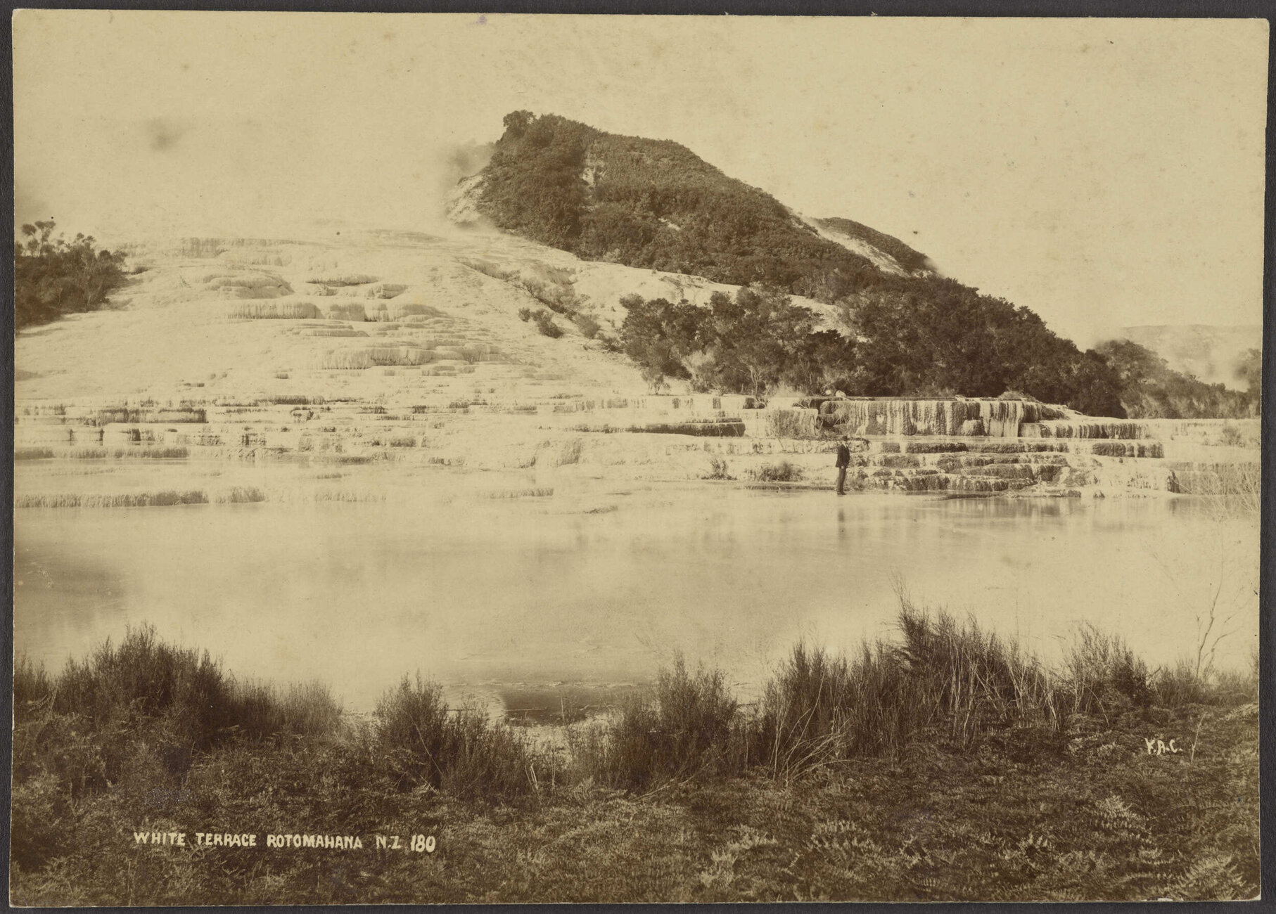 White Terrace, Rotomahana N.Z.