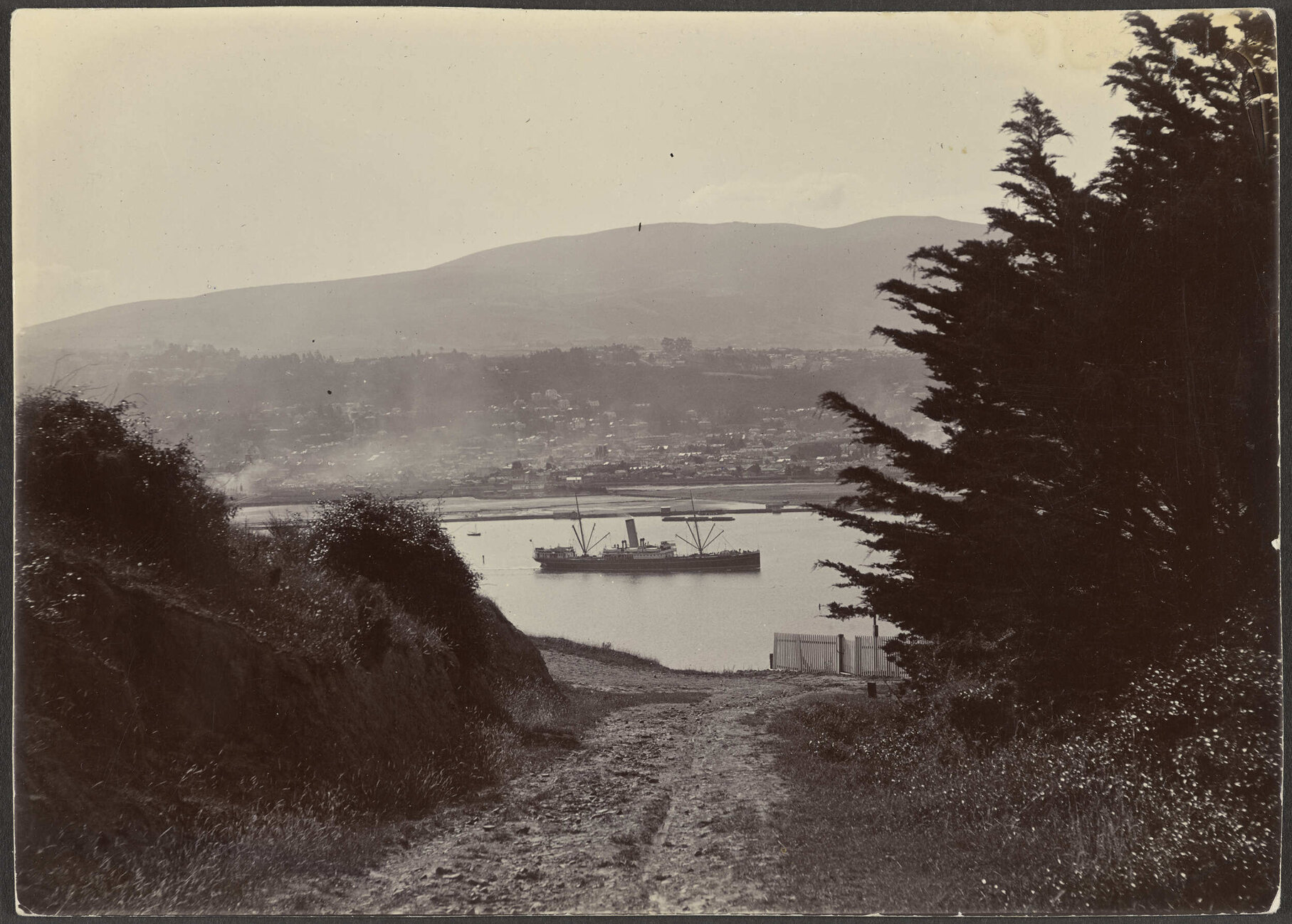 Towards Dunedin, across Otago Harbour