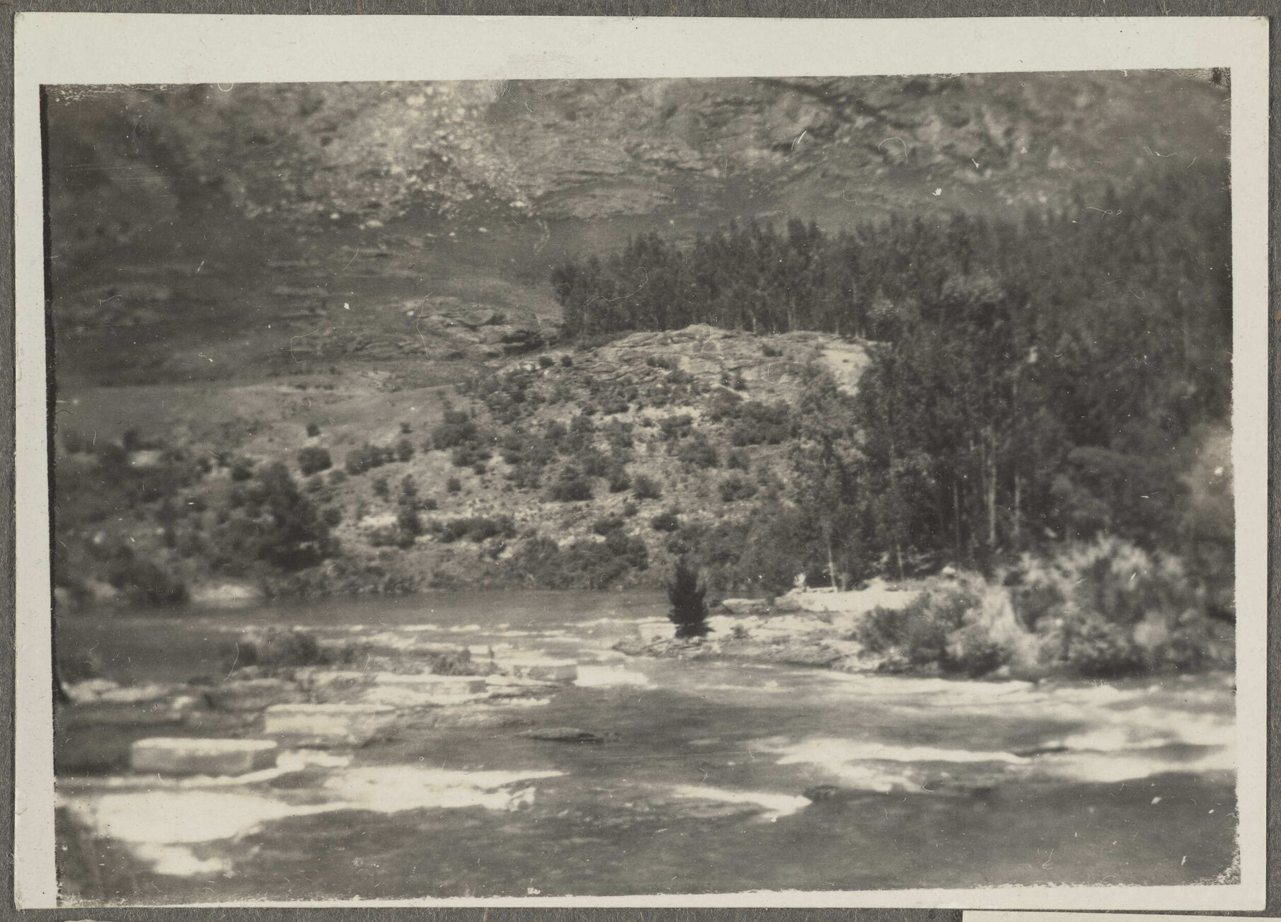 River surrounded by shrubs and trees