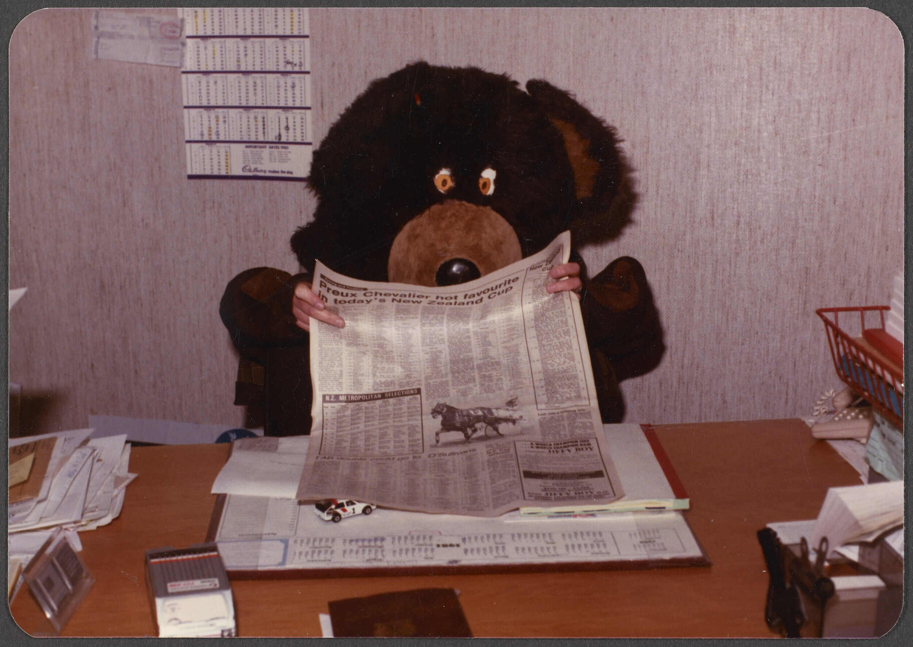 Hudson Cookie Bear sitting at a desk