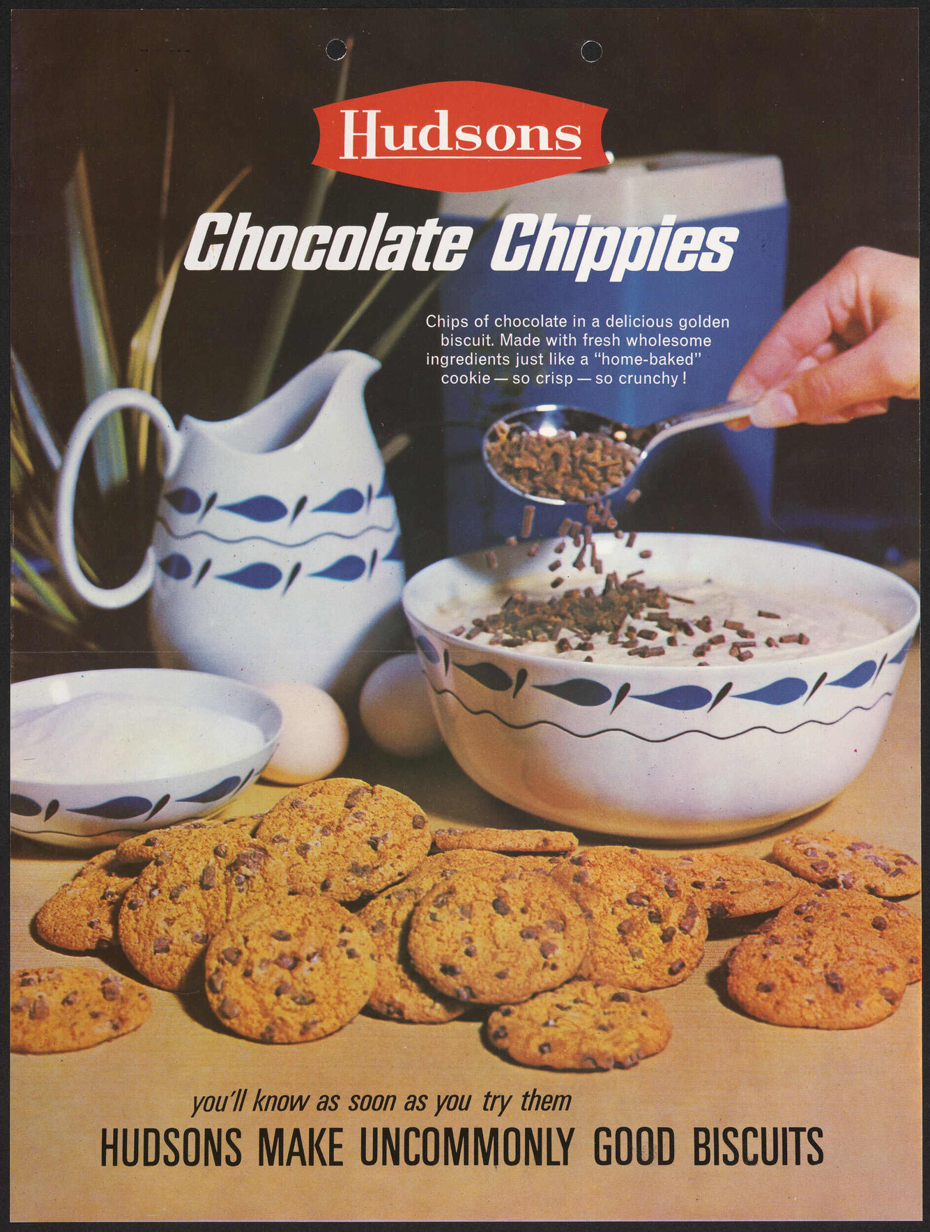 Hudsons Chocolate Chippies 