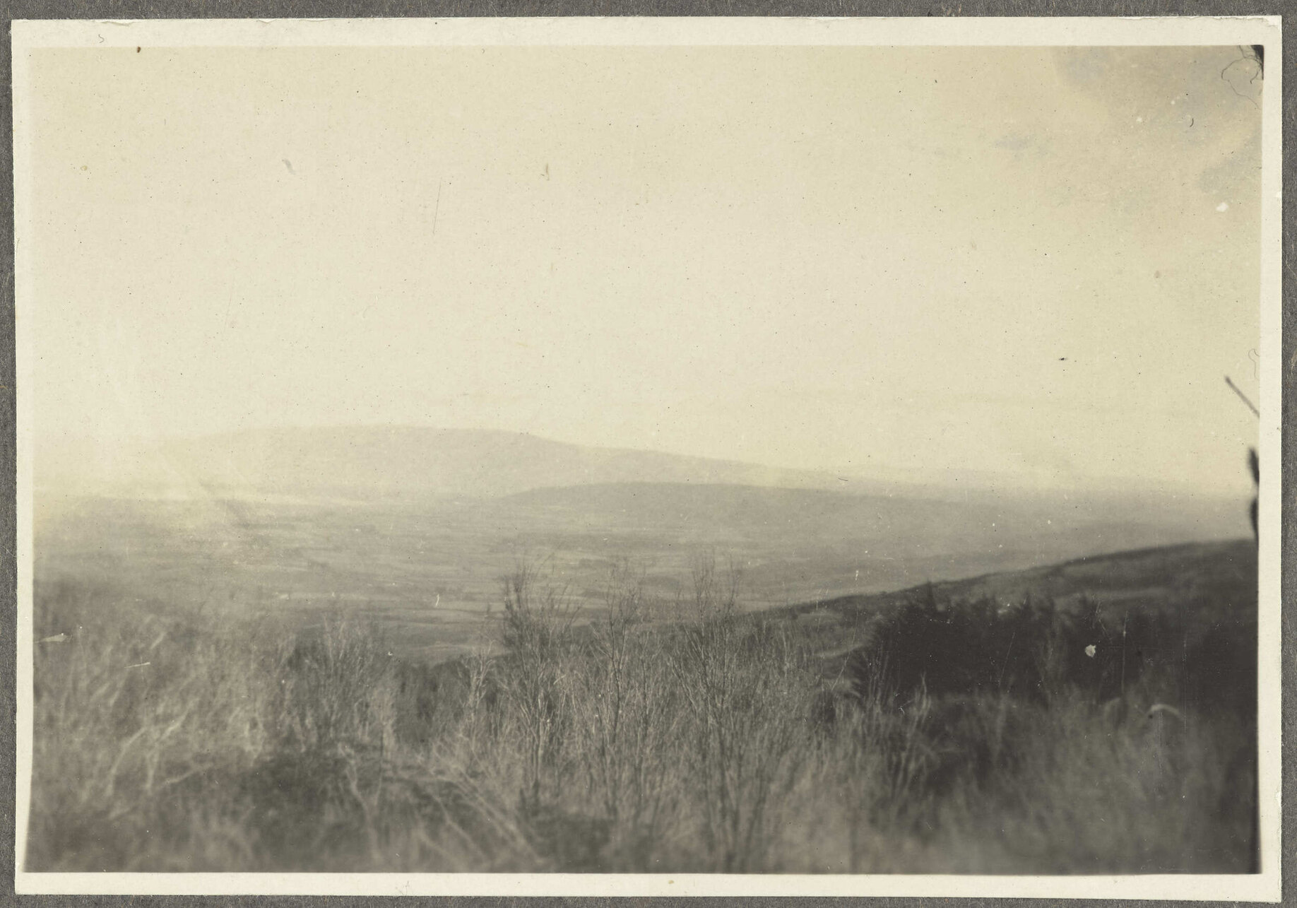 Grassy hills overlooking plain