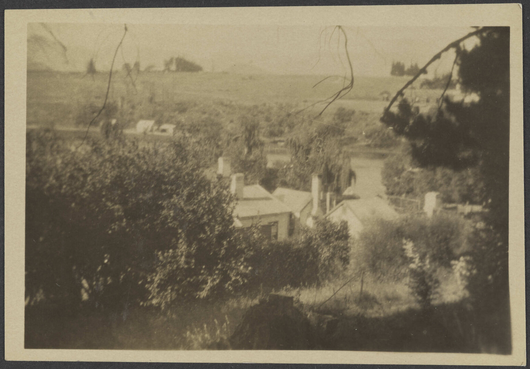 Looking down towards houses and shrubs