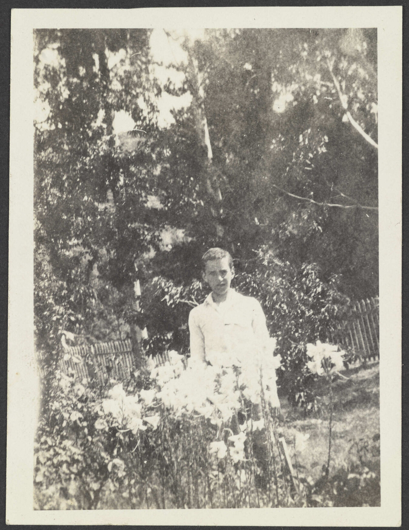 Charles Brasch in garden