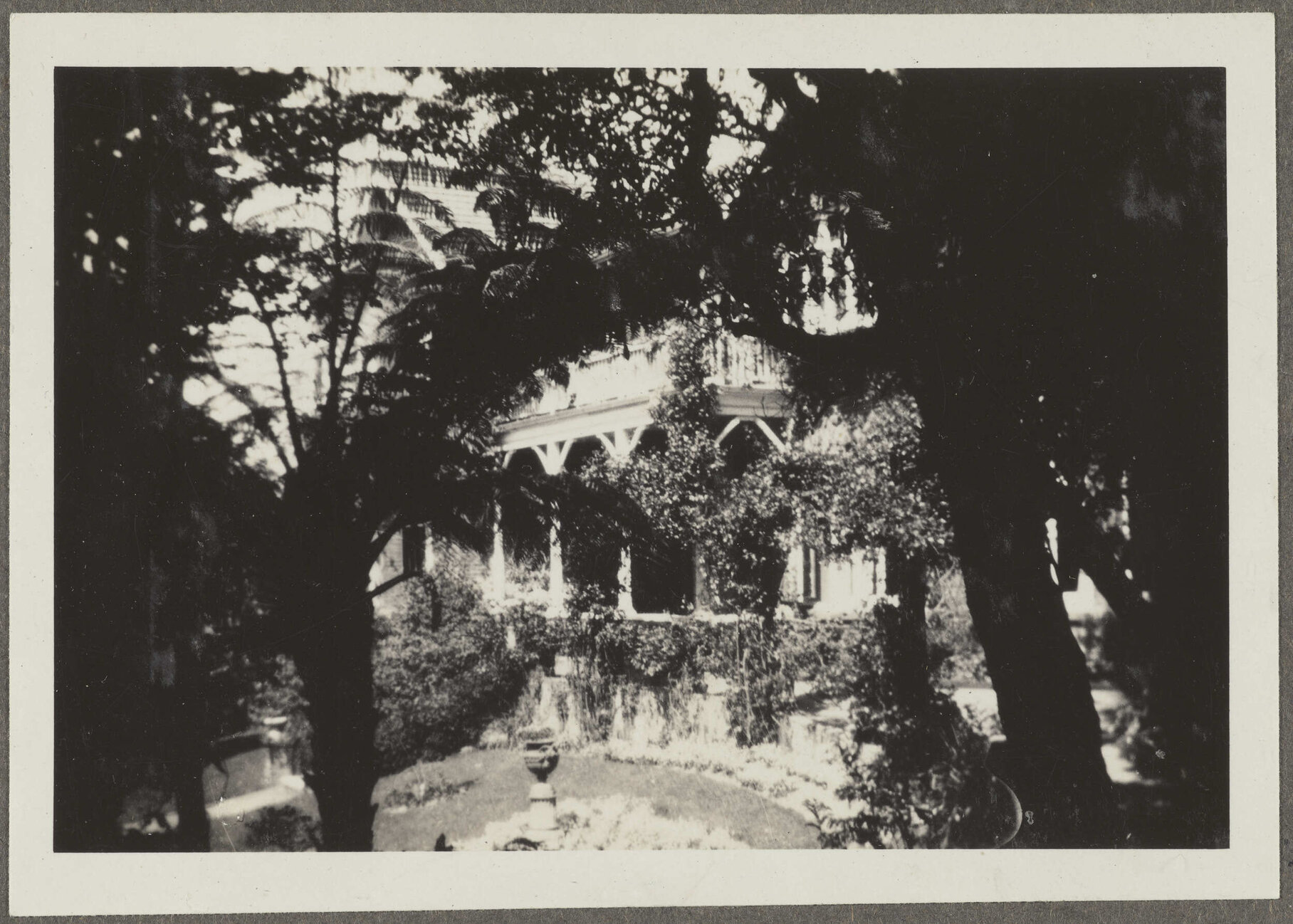 House, through ferns and trees