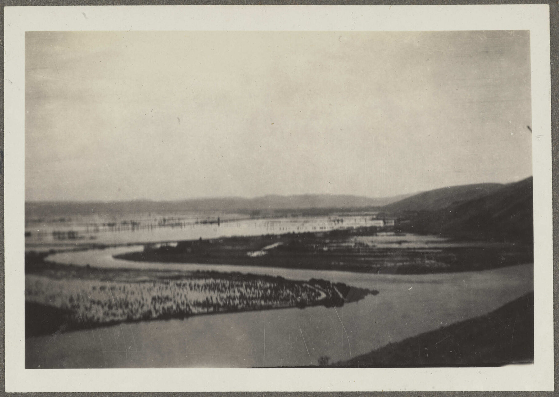 'Taieri in flood from above Henley'