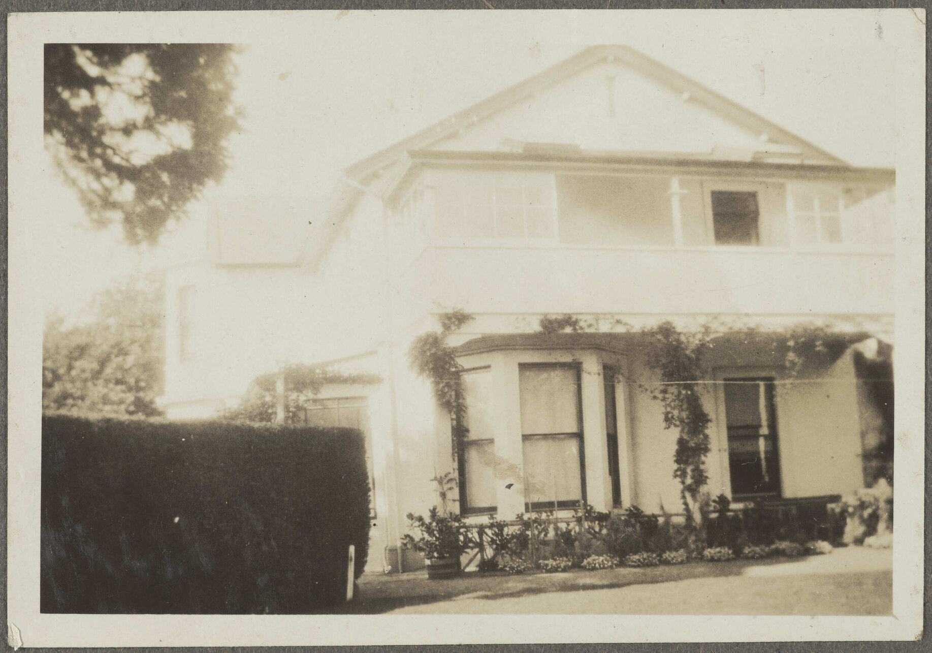 House with vines on porch
