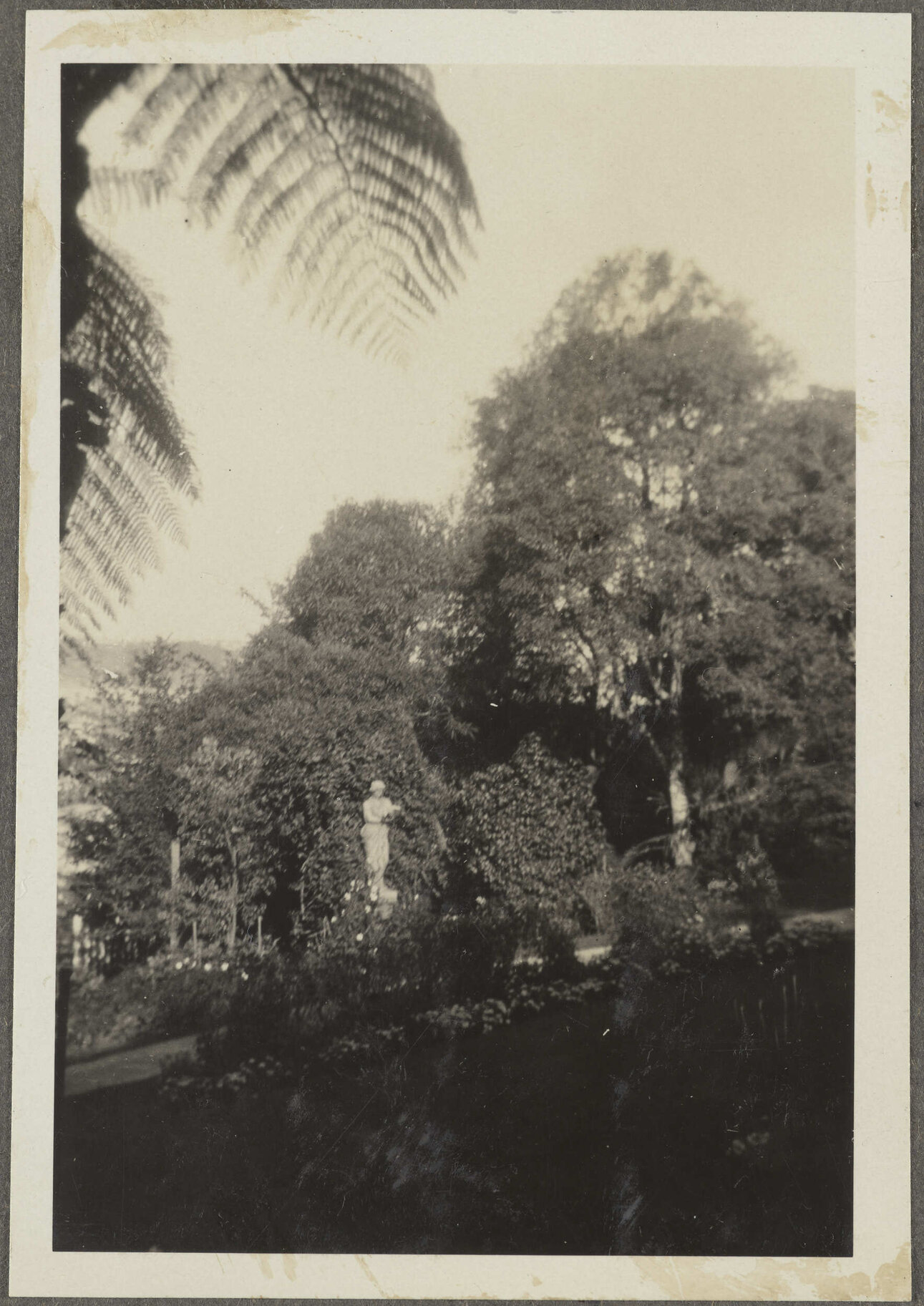 Garden with statue