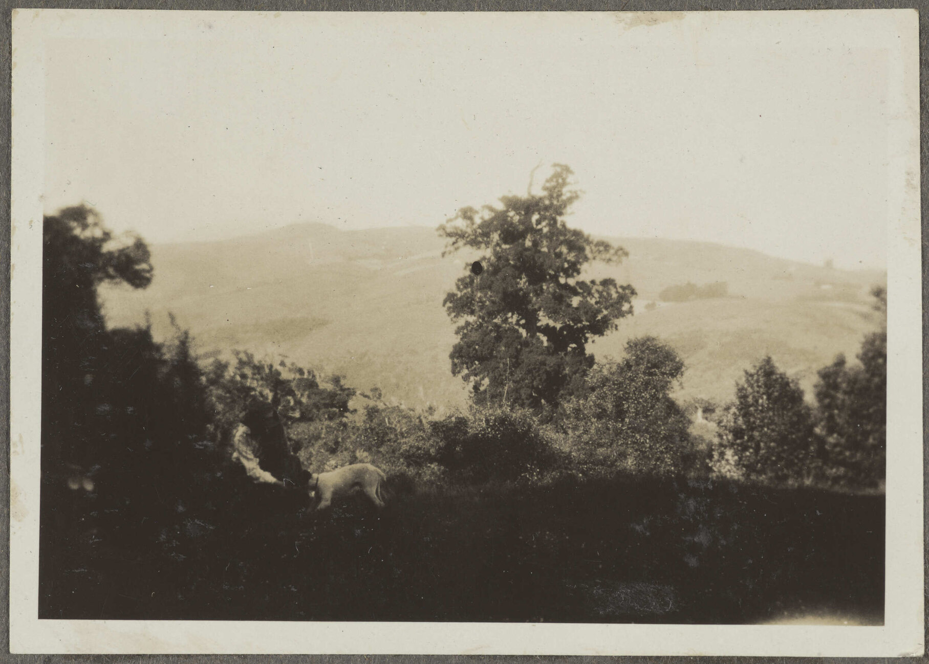 Unidentified woman and dog