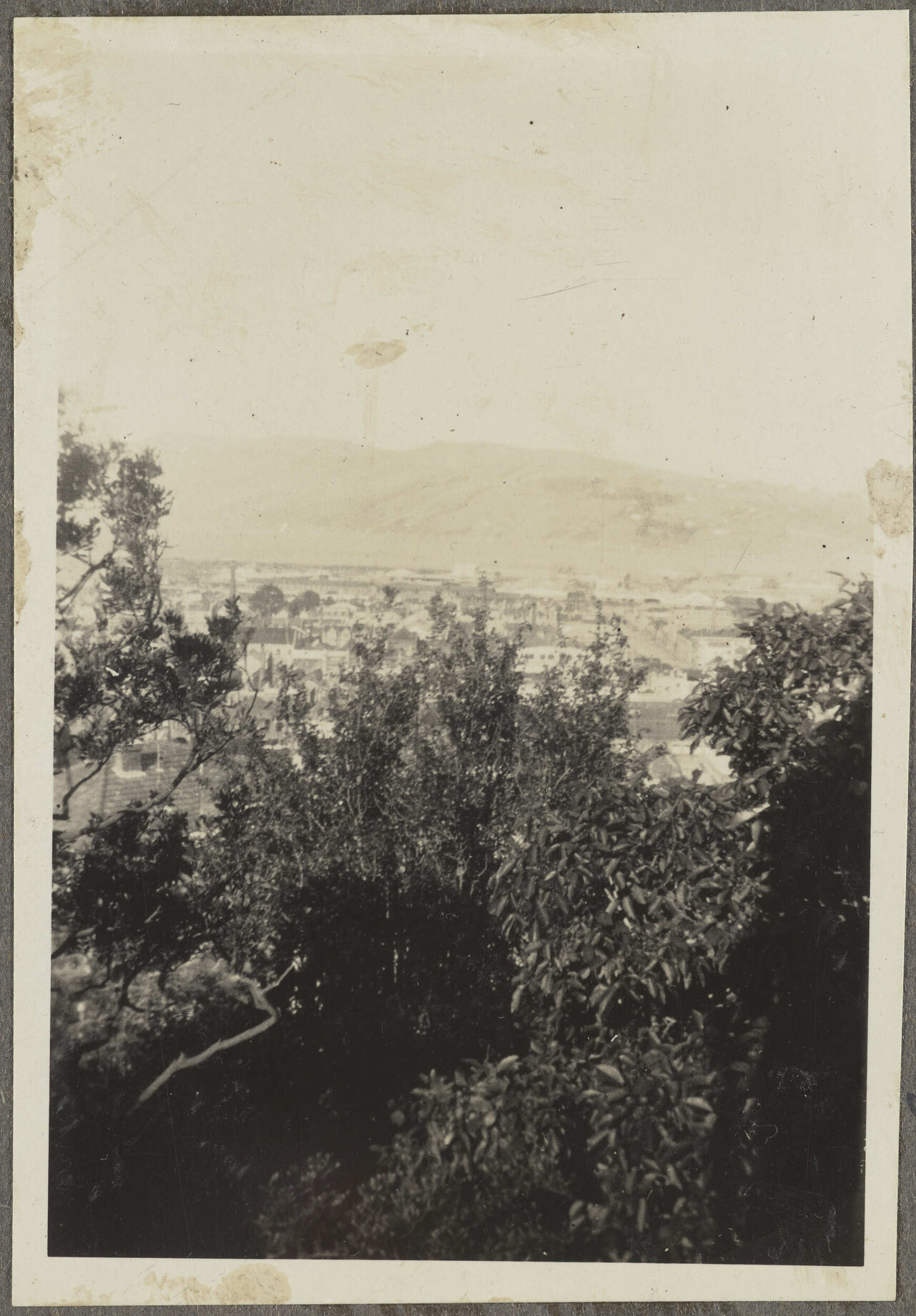 Looking down towards Dunedin City