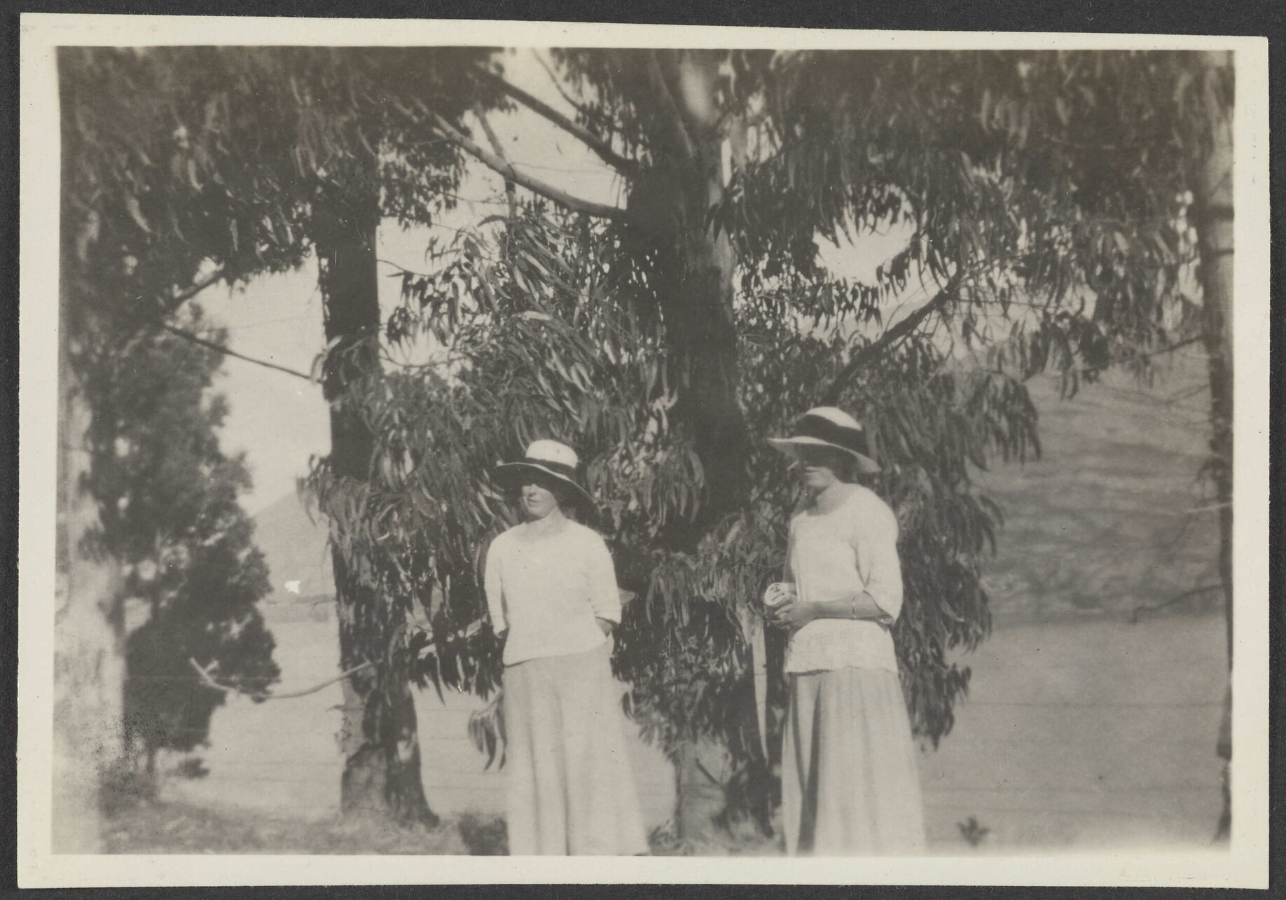 Two unidentified women stand by large trees