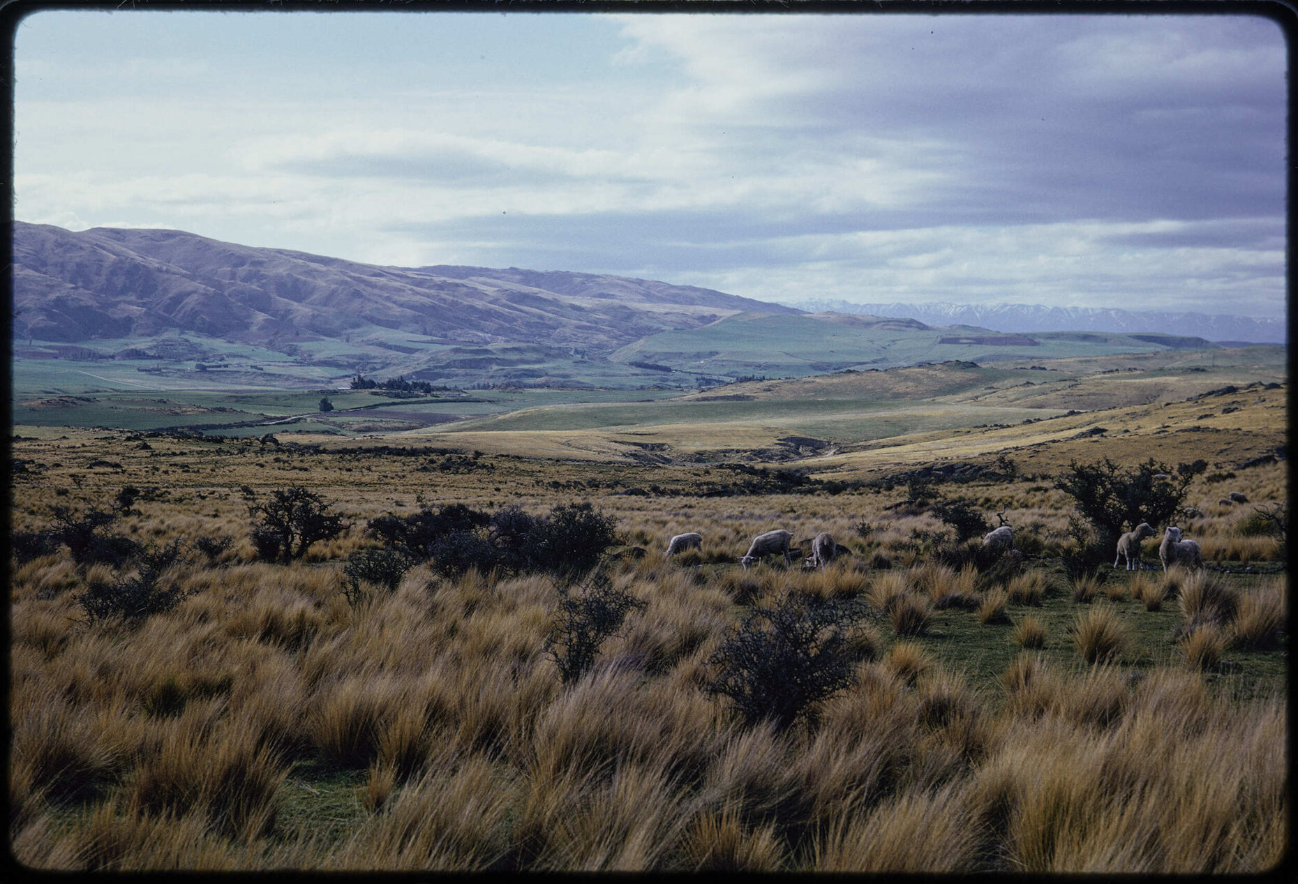 Near Middlemarch