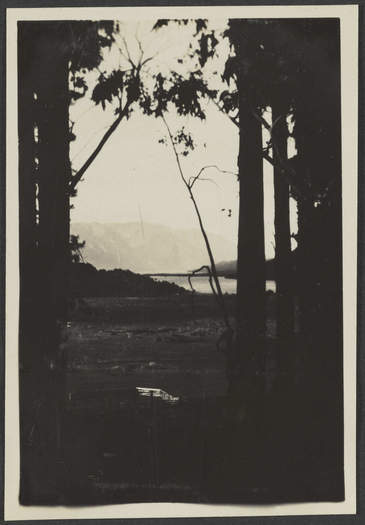 Overlooking lake and paddock at Minaret