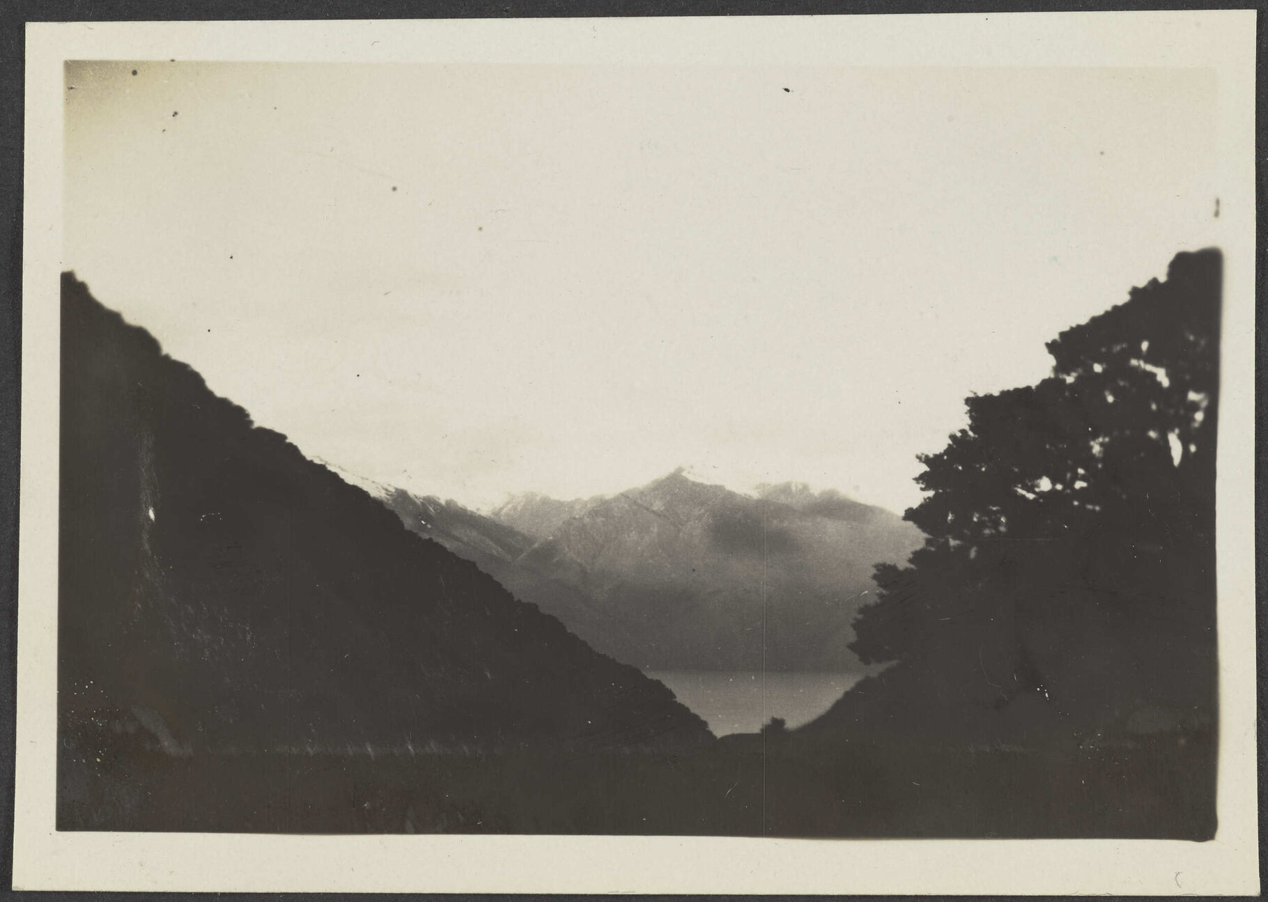 Mountains through trees at Minaret Station