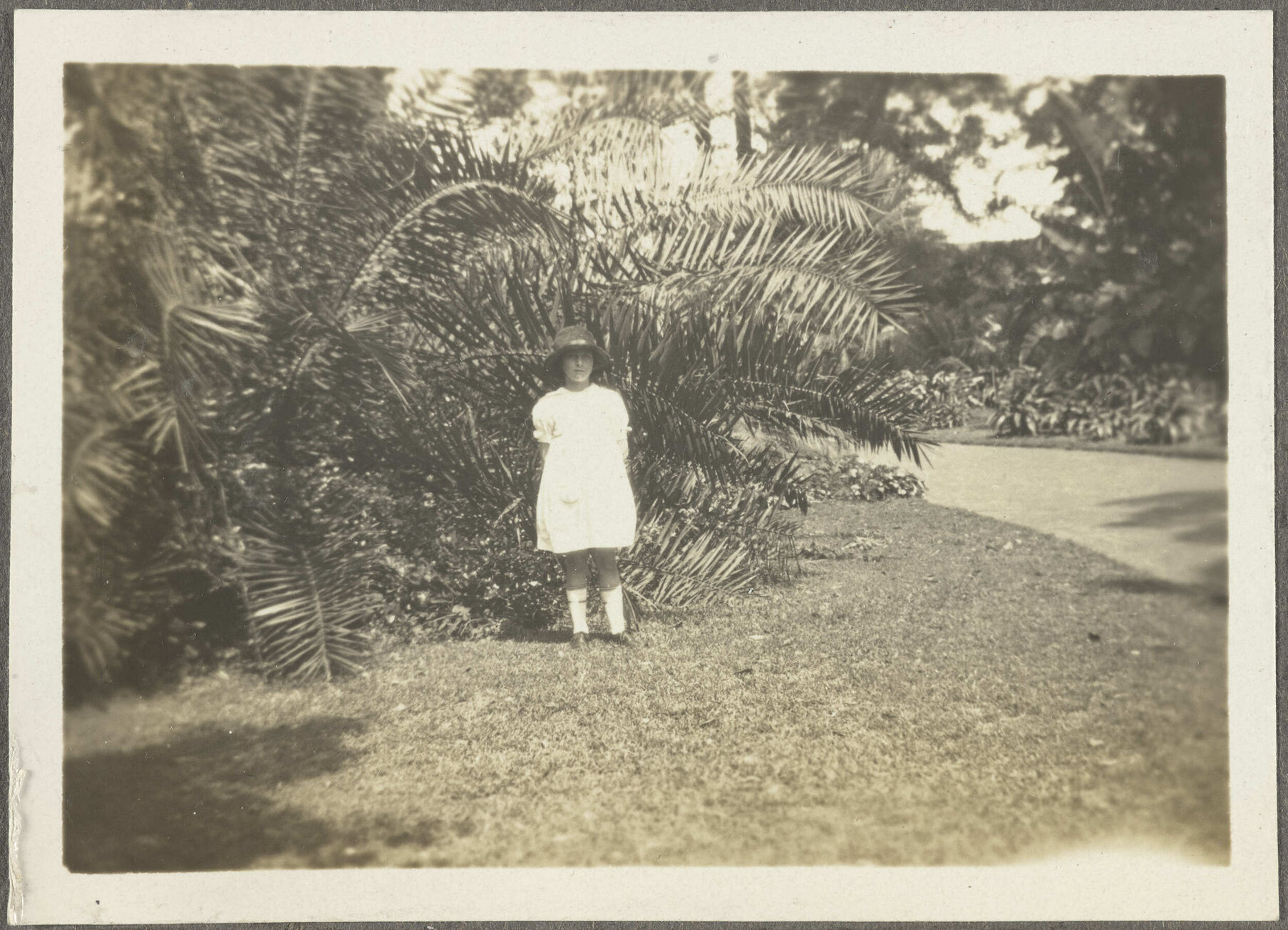 Unidentified girl standing in front of palm fronds