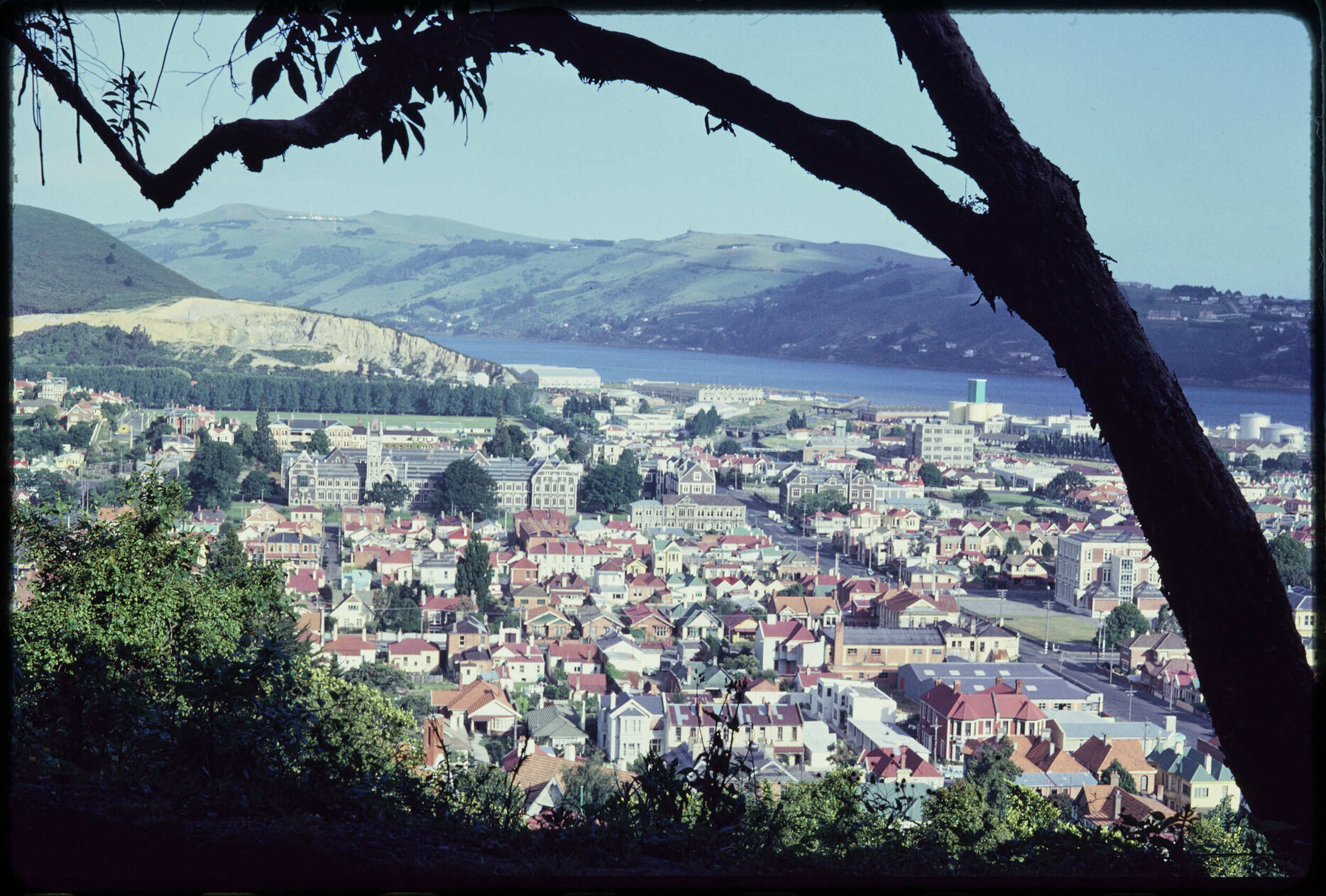View over North Dunedin towards the harbour and peninsula