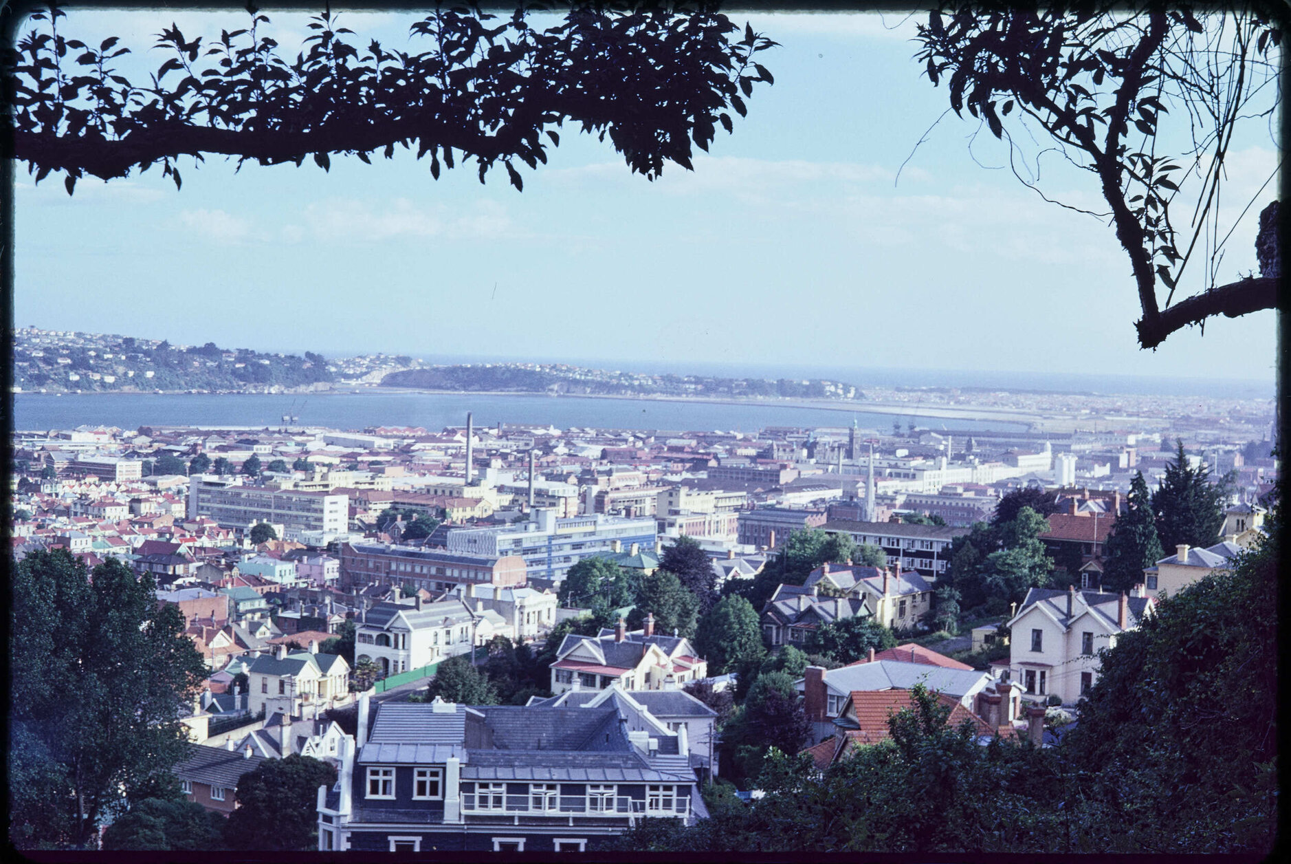 View over central Dunedin towards Andersons Bay and Ocean Beach