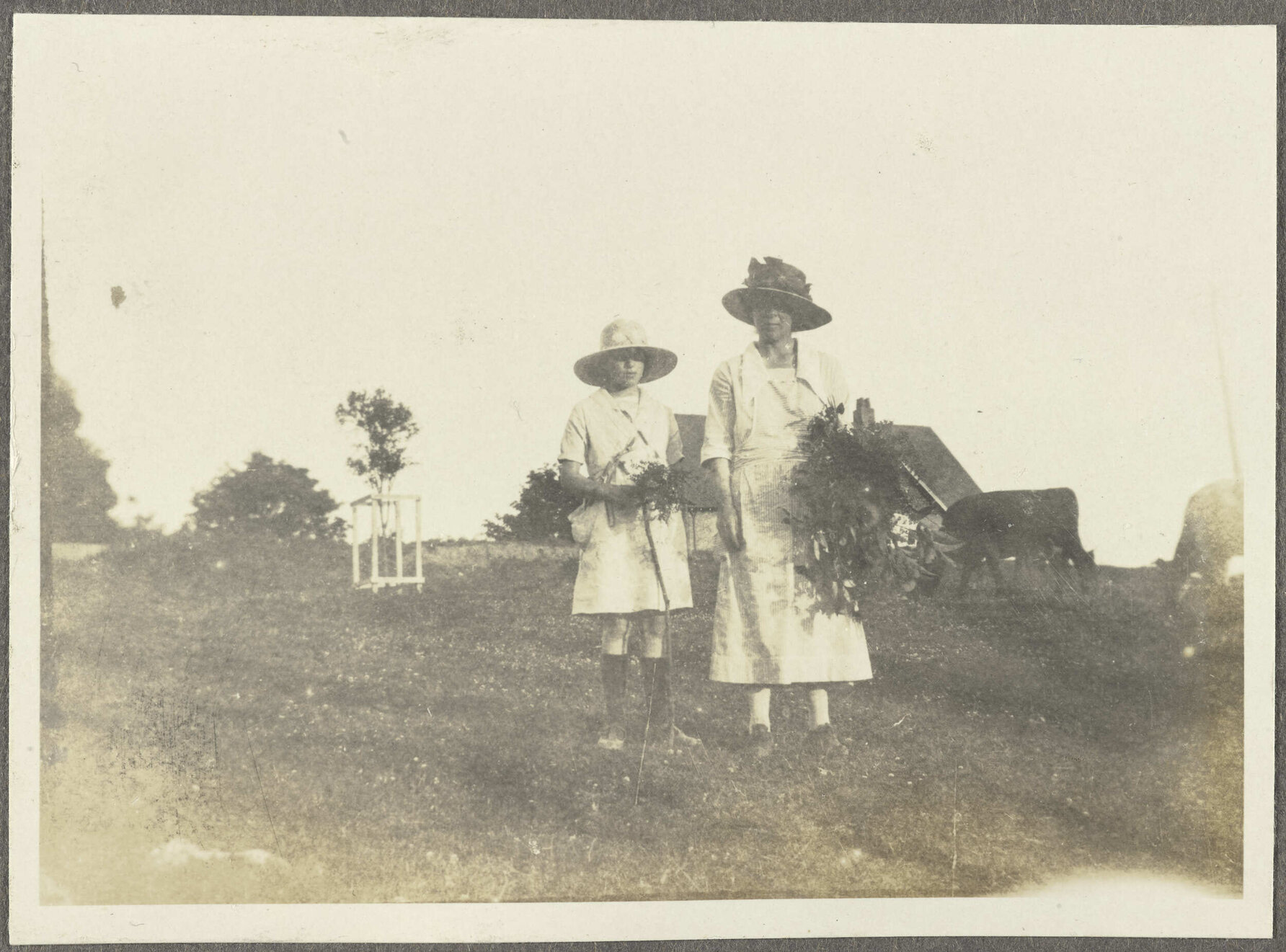 Two unidentified women in paddock with cows