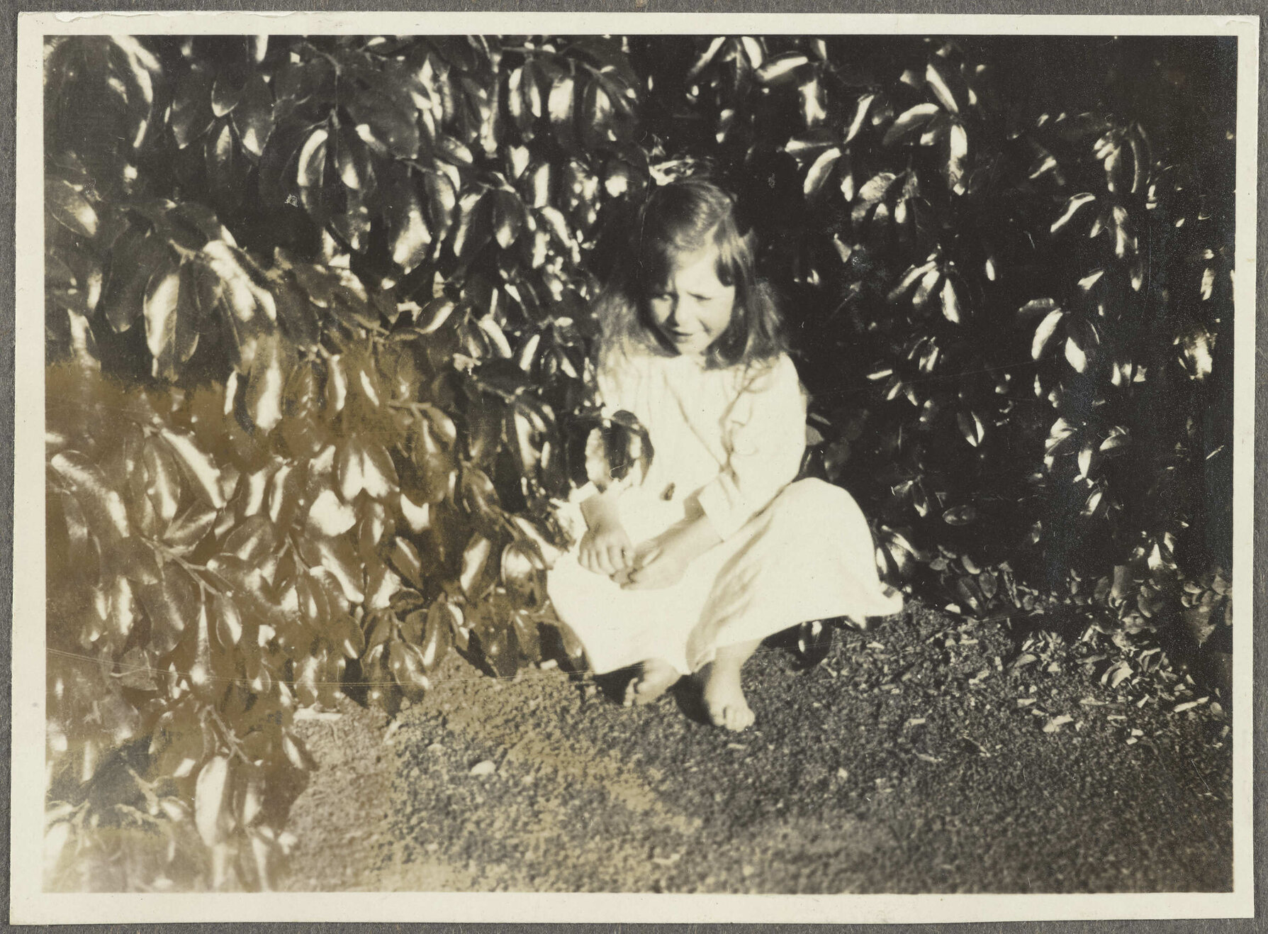 [Elespie Forsyth] sitting by shrubs