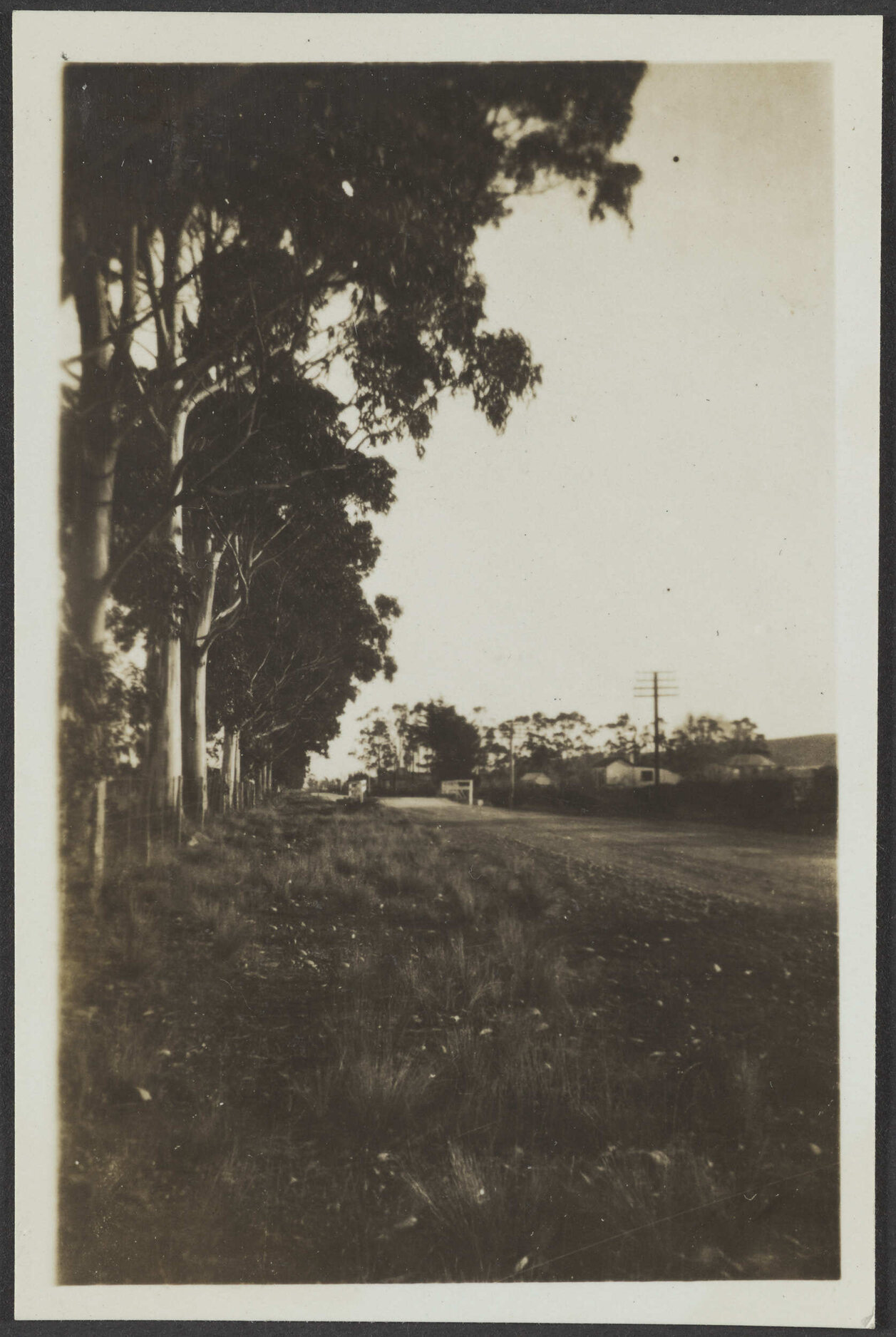 Metal road lined with trees and a house on the right side