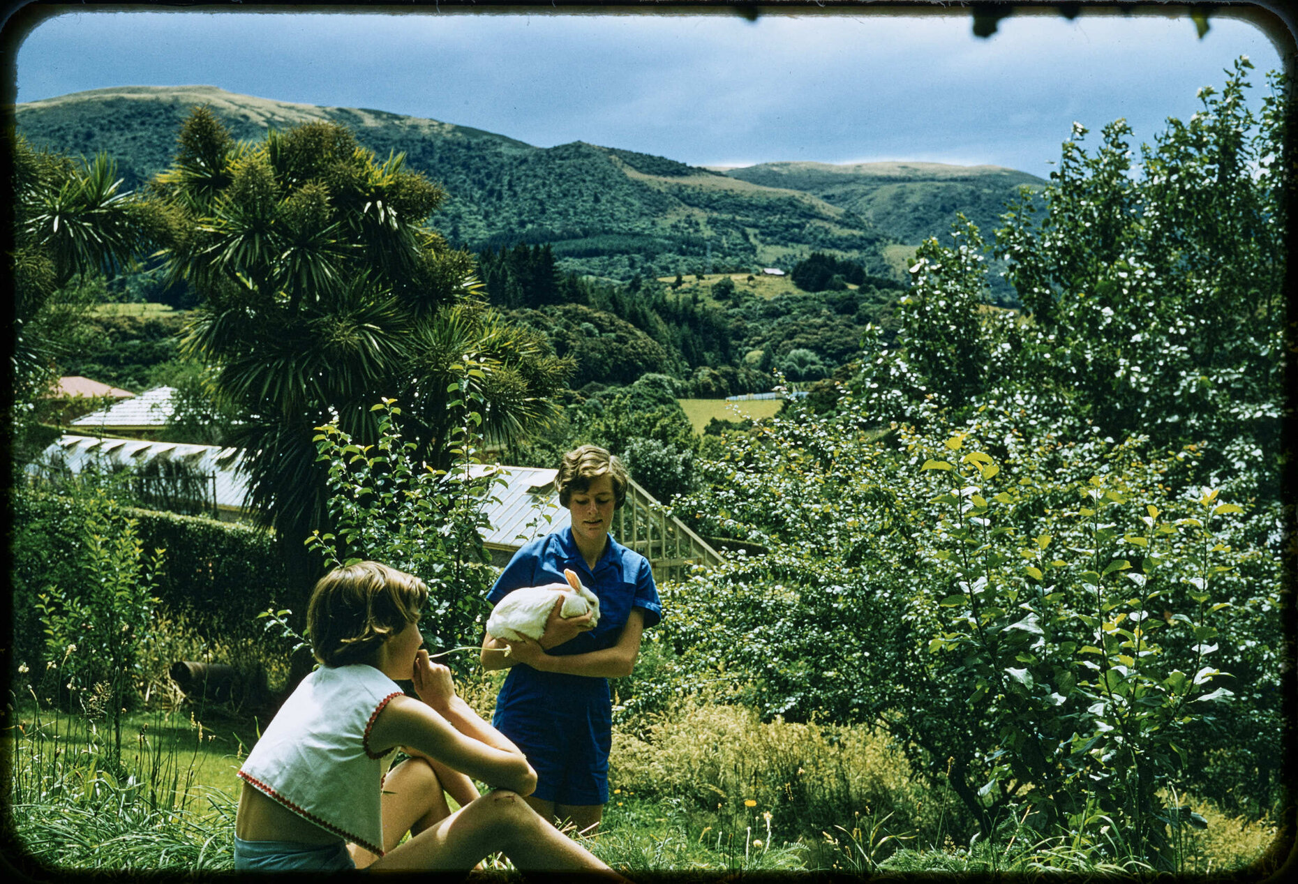 'View towards reservoir from barbecue lawn' 