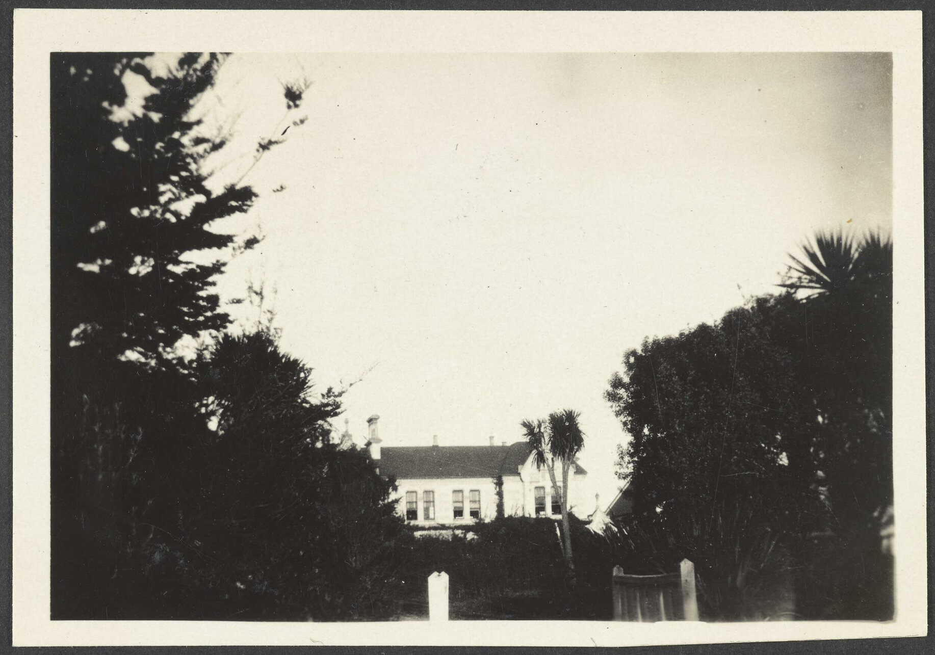 Waitaki Boys' High School building in the distance behind trees and shrubs