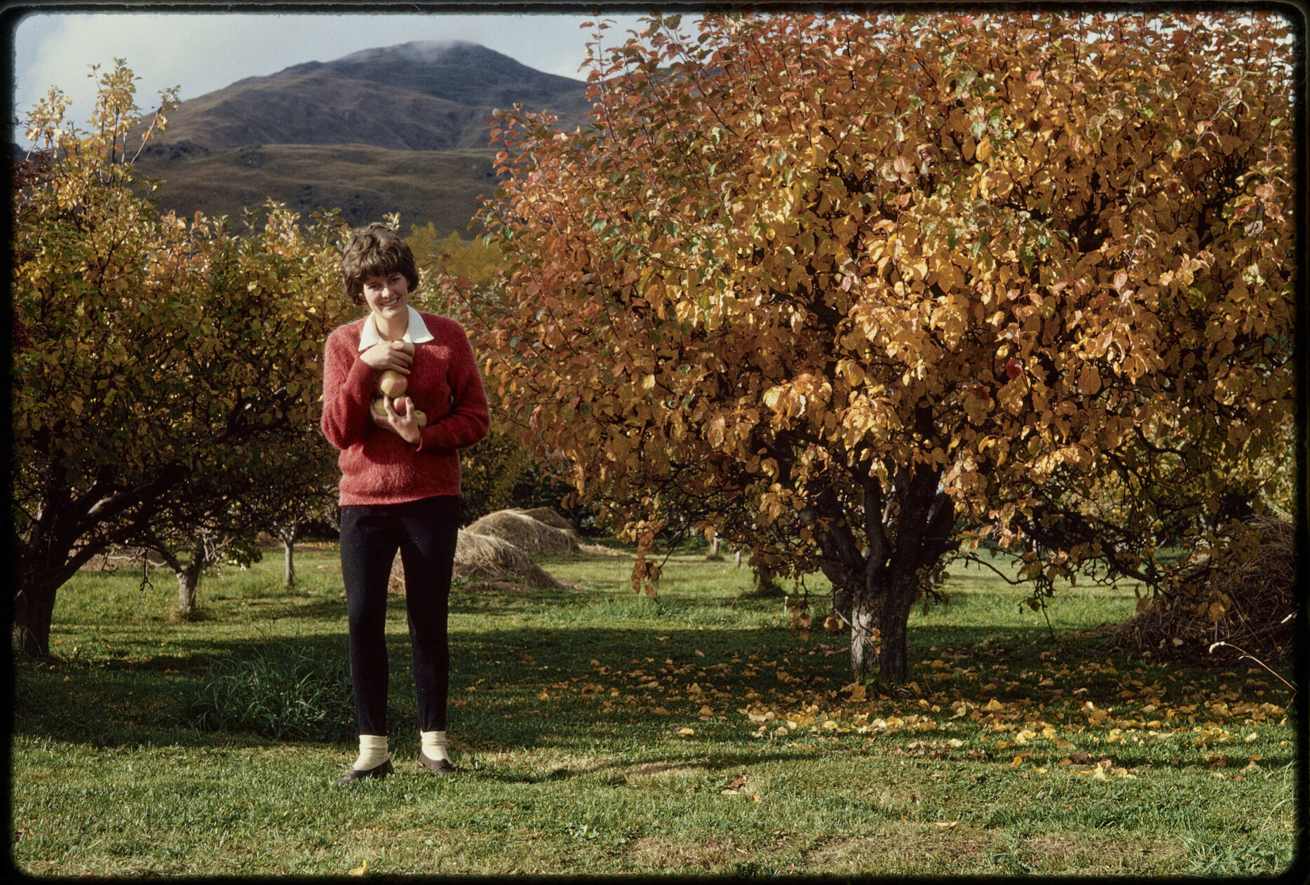 'Patti in the apple orchard'