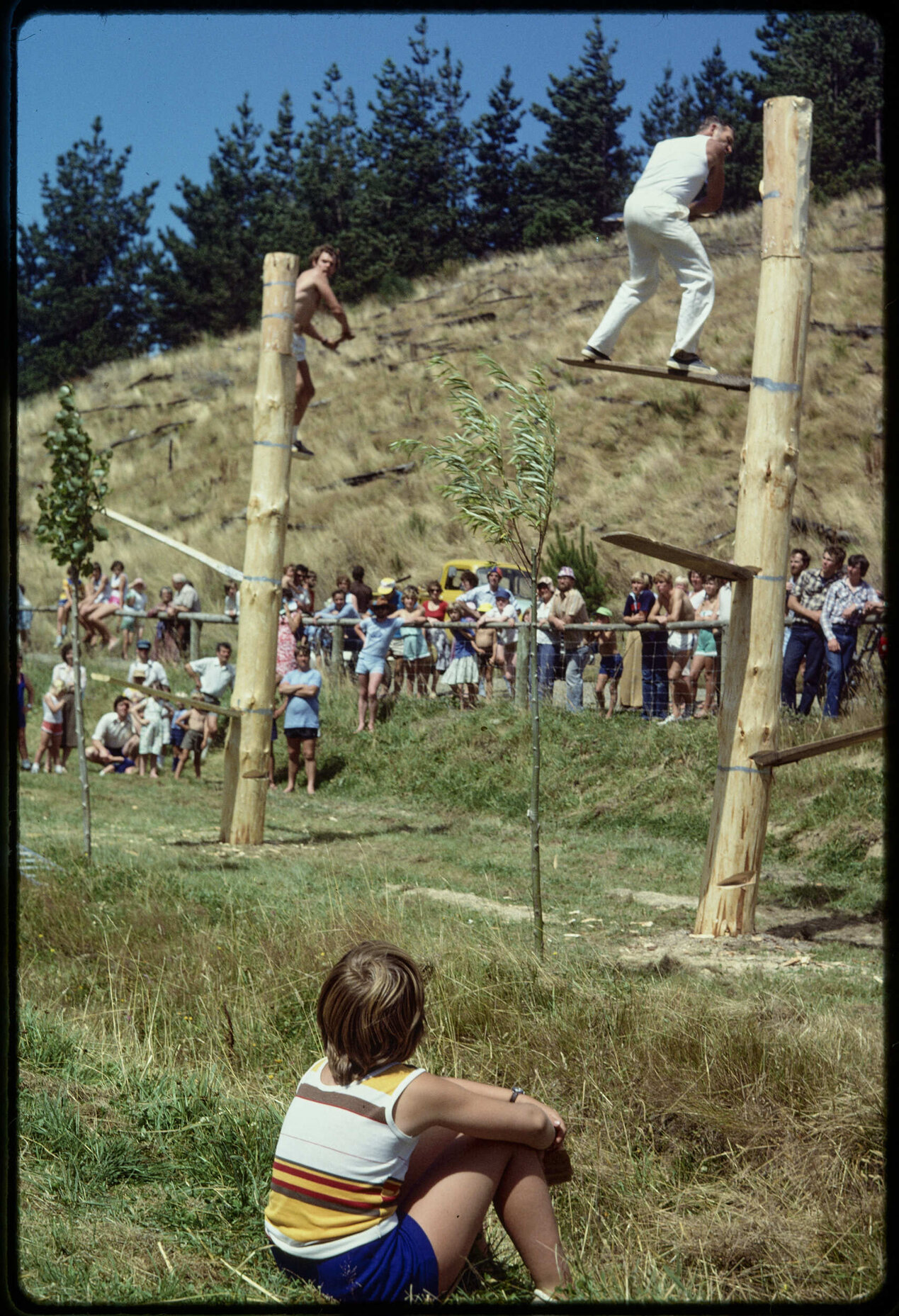 Woodchopping at Berwick