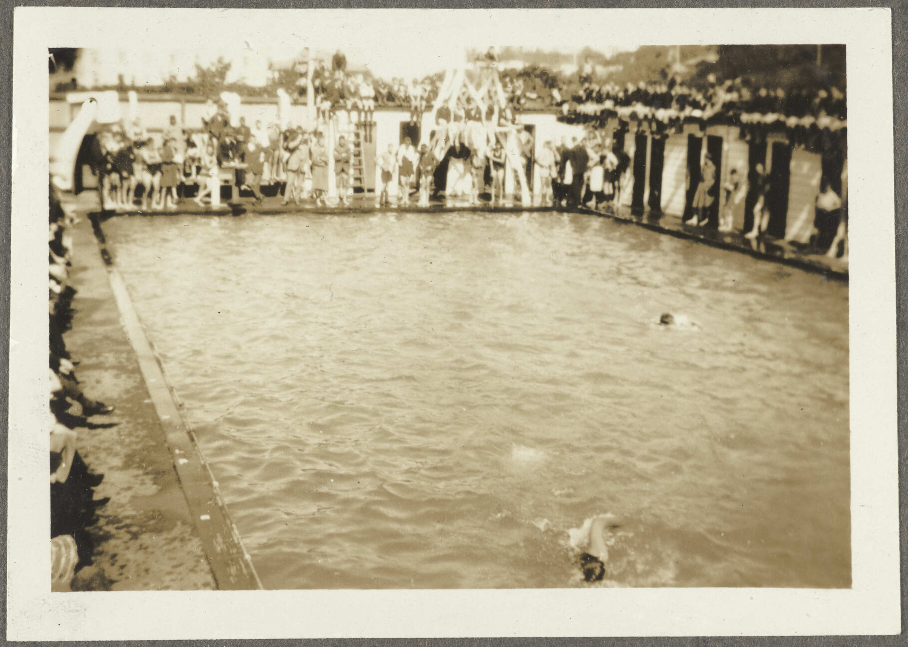 'Swimming Sports Oamaru Baths'
