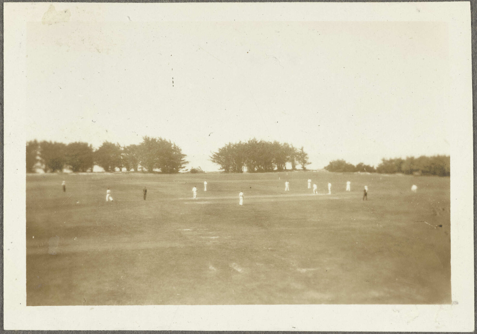 Cricket game