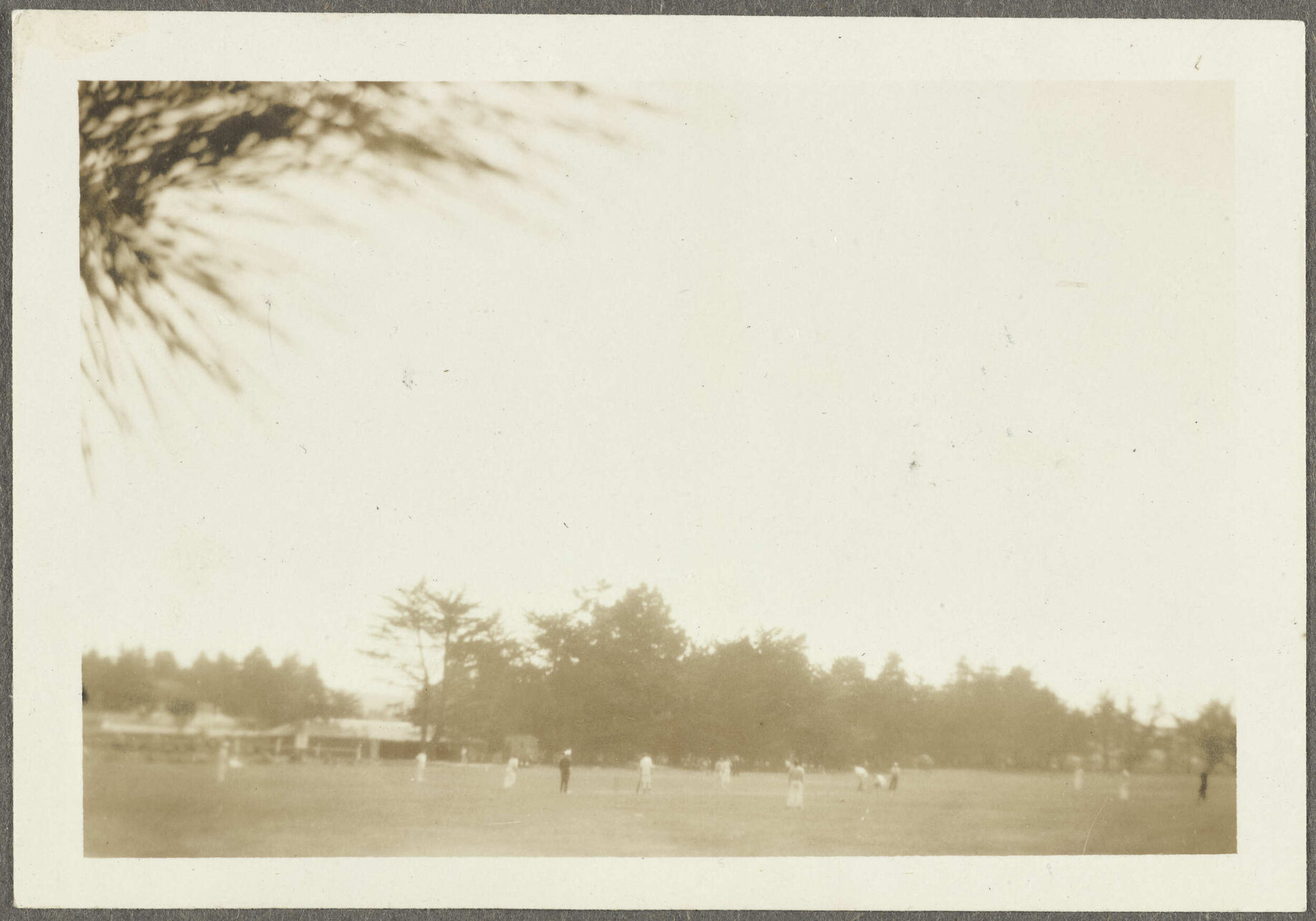 Cricket game