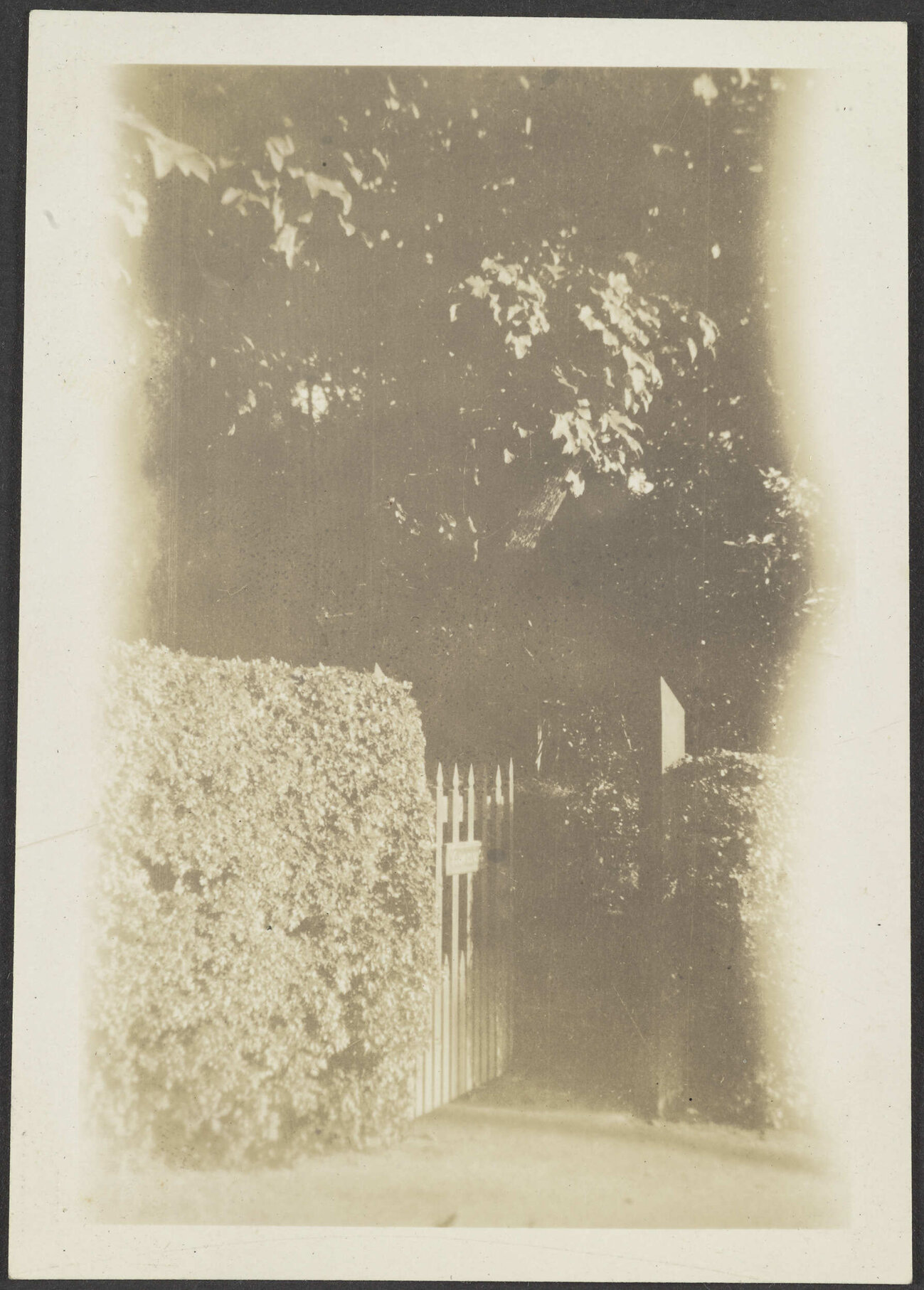Wooden gate surrounded by bushes