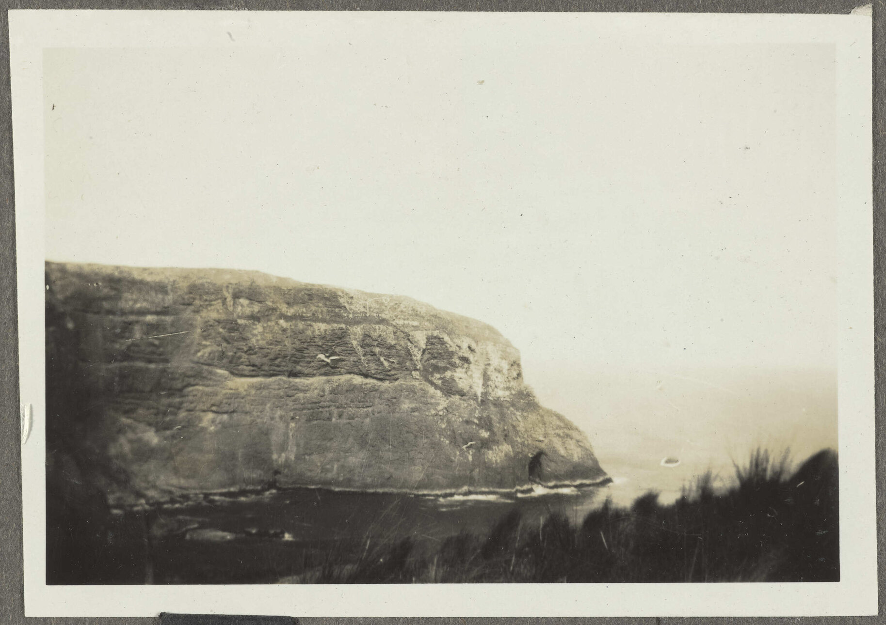 Cliff at Cape Saunders