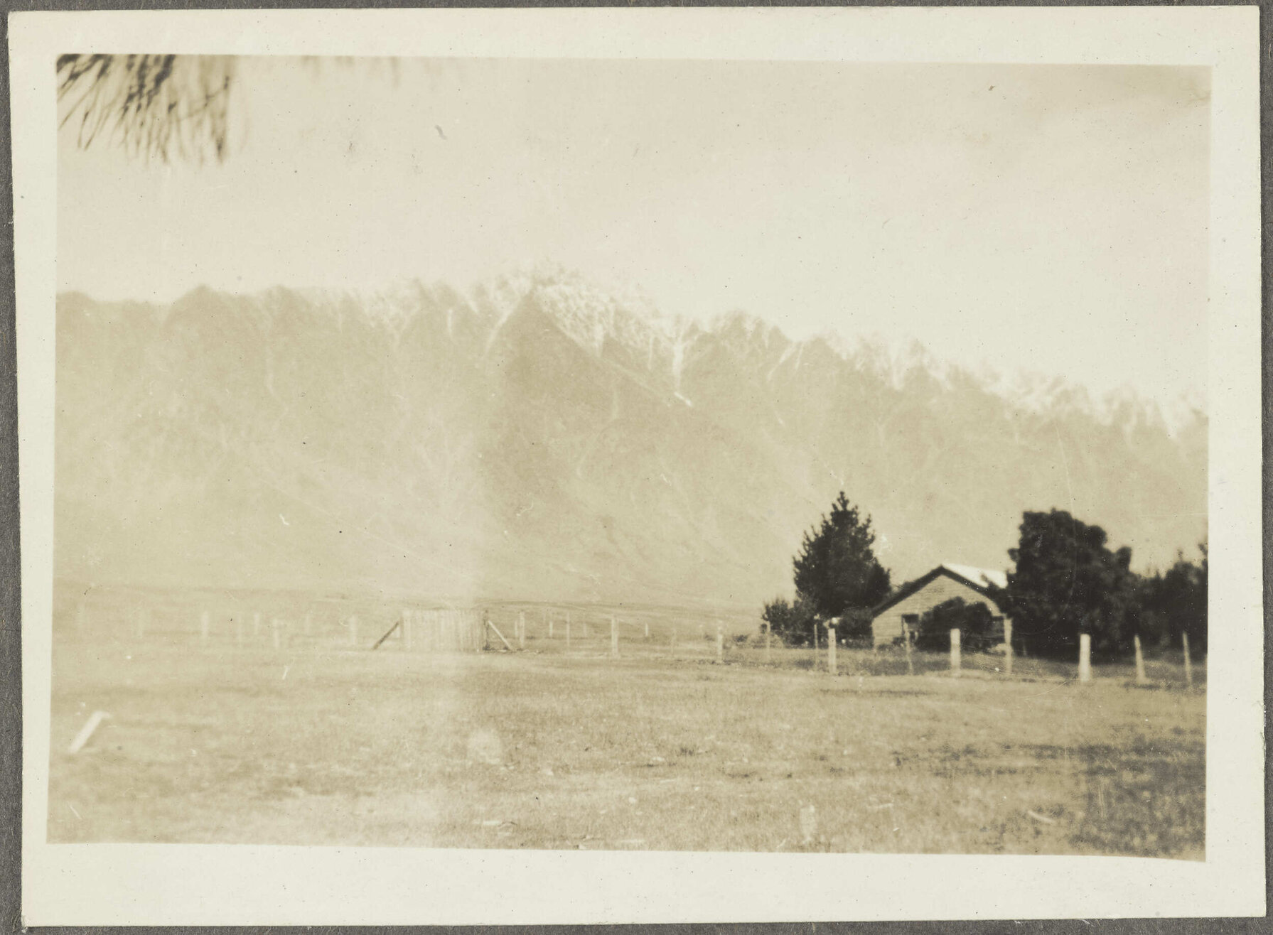 Paddock with snow-capped mountains in background
