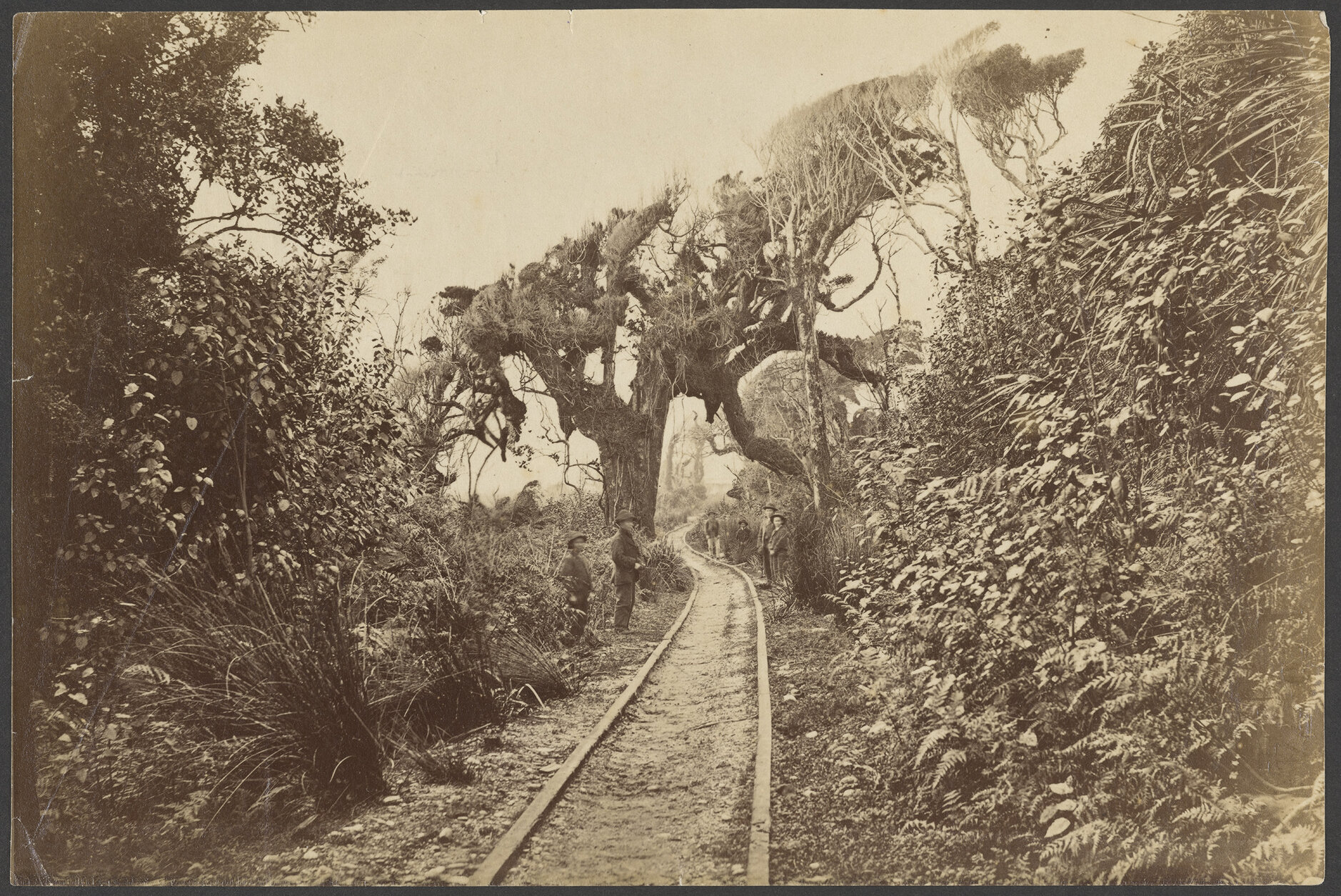 Tramway between Greymouth and Kumara
